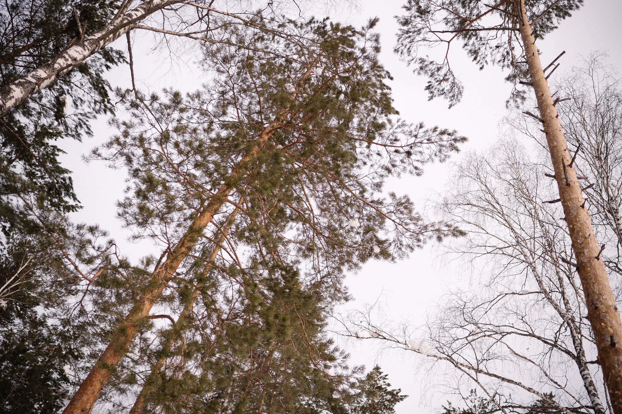 22 января. Искренний фотограф
