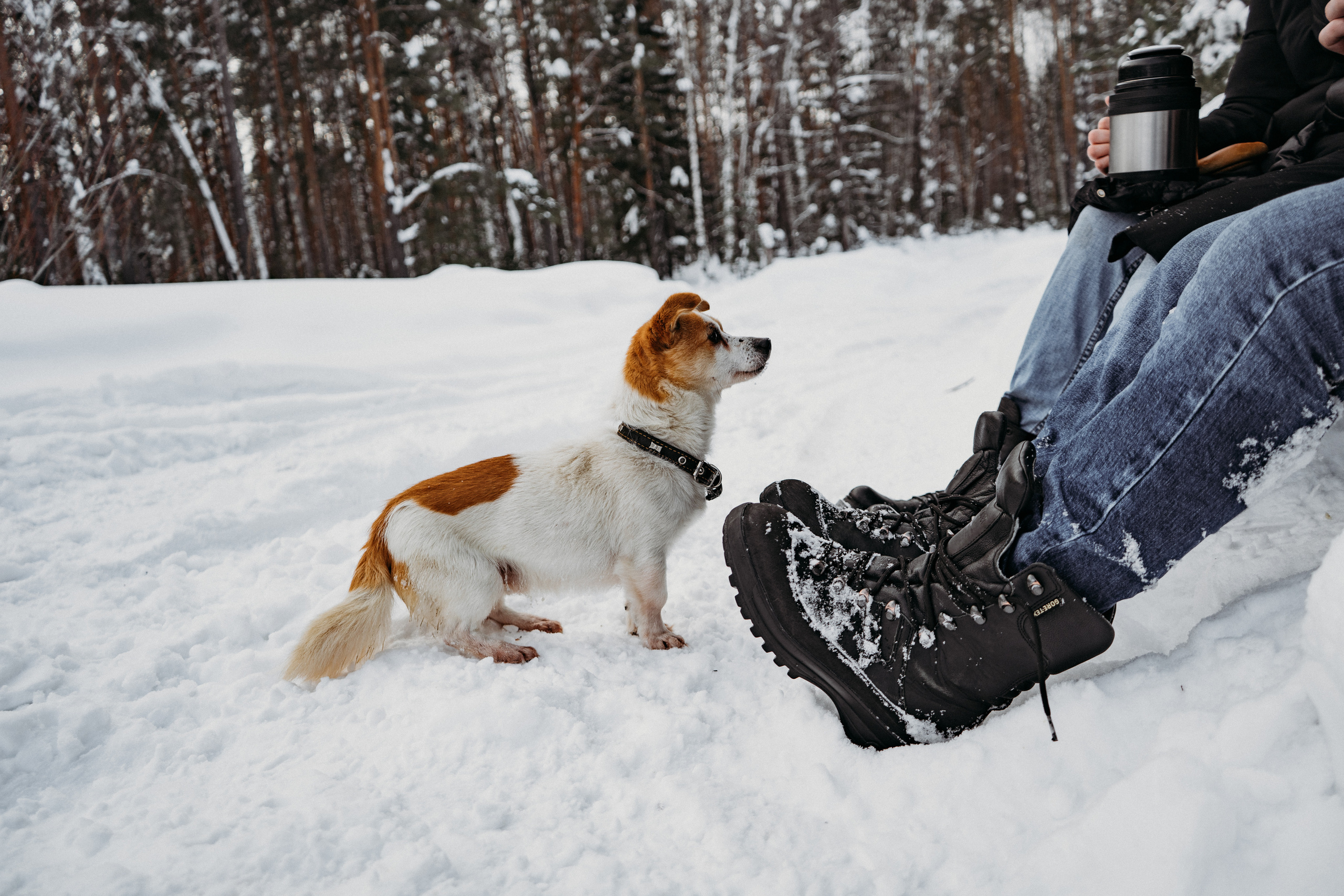 22 января. Искренний фотограф
