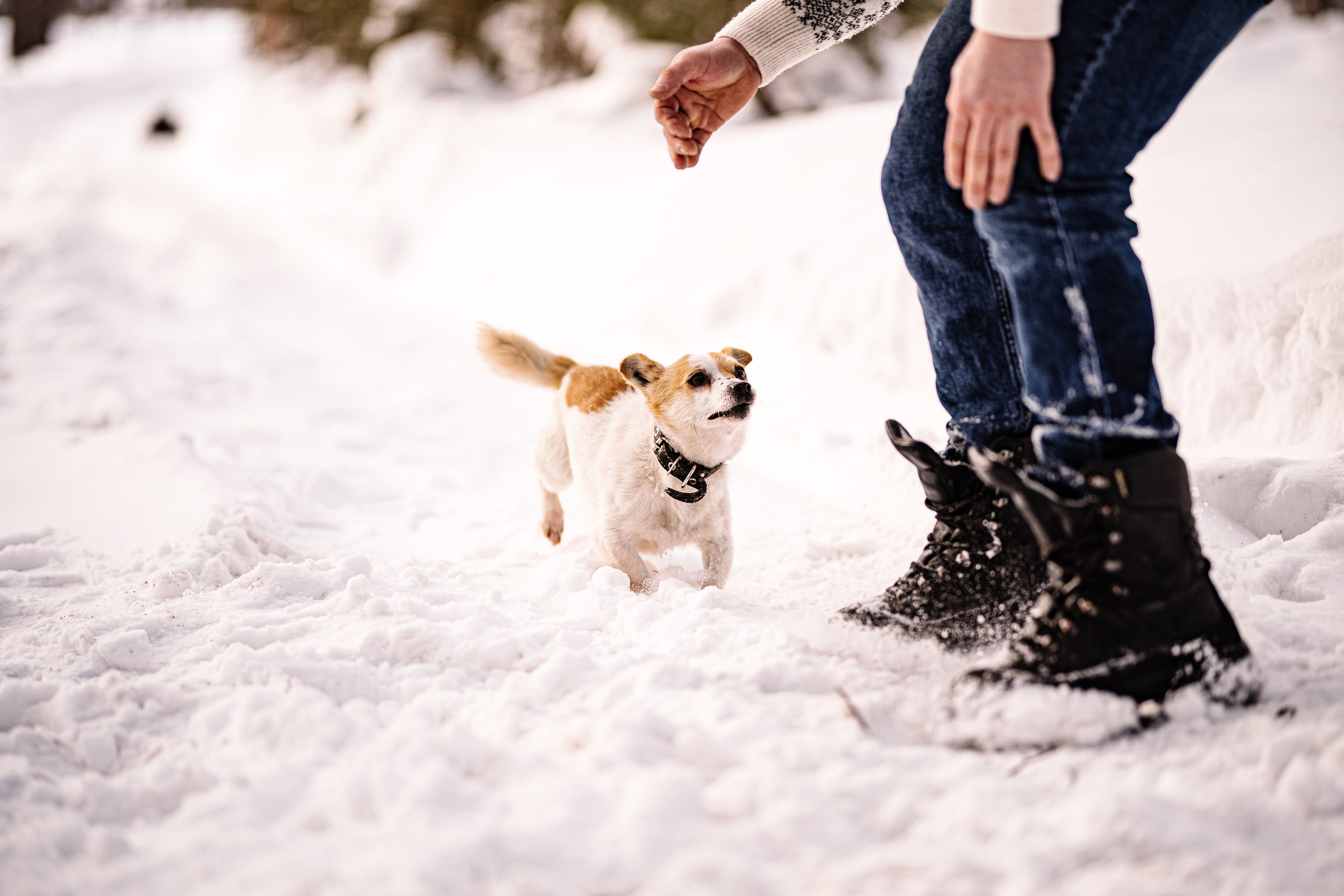 One love — one day. Искренний фотограф