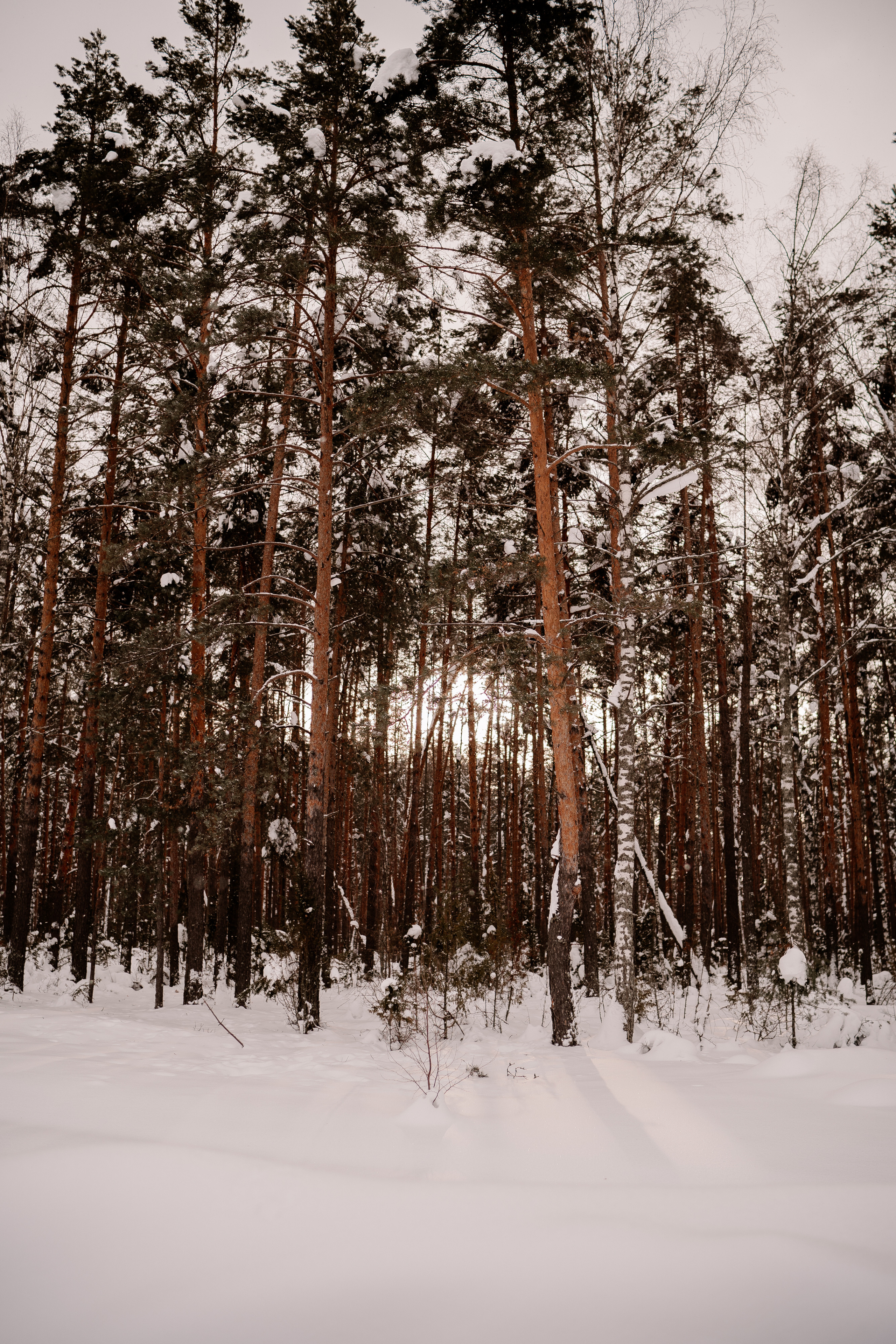 22 января. Искренний фотограф
