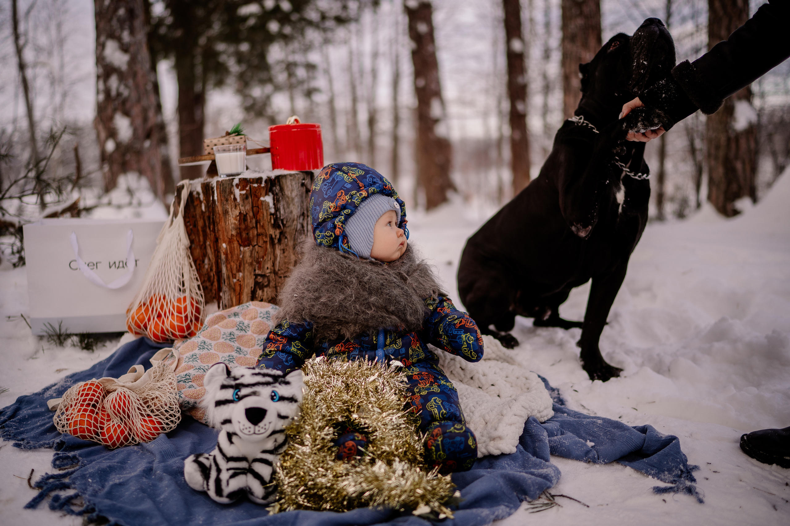 Боря 1 годик. Искренний фотограф