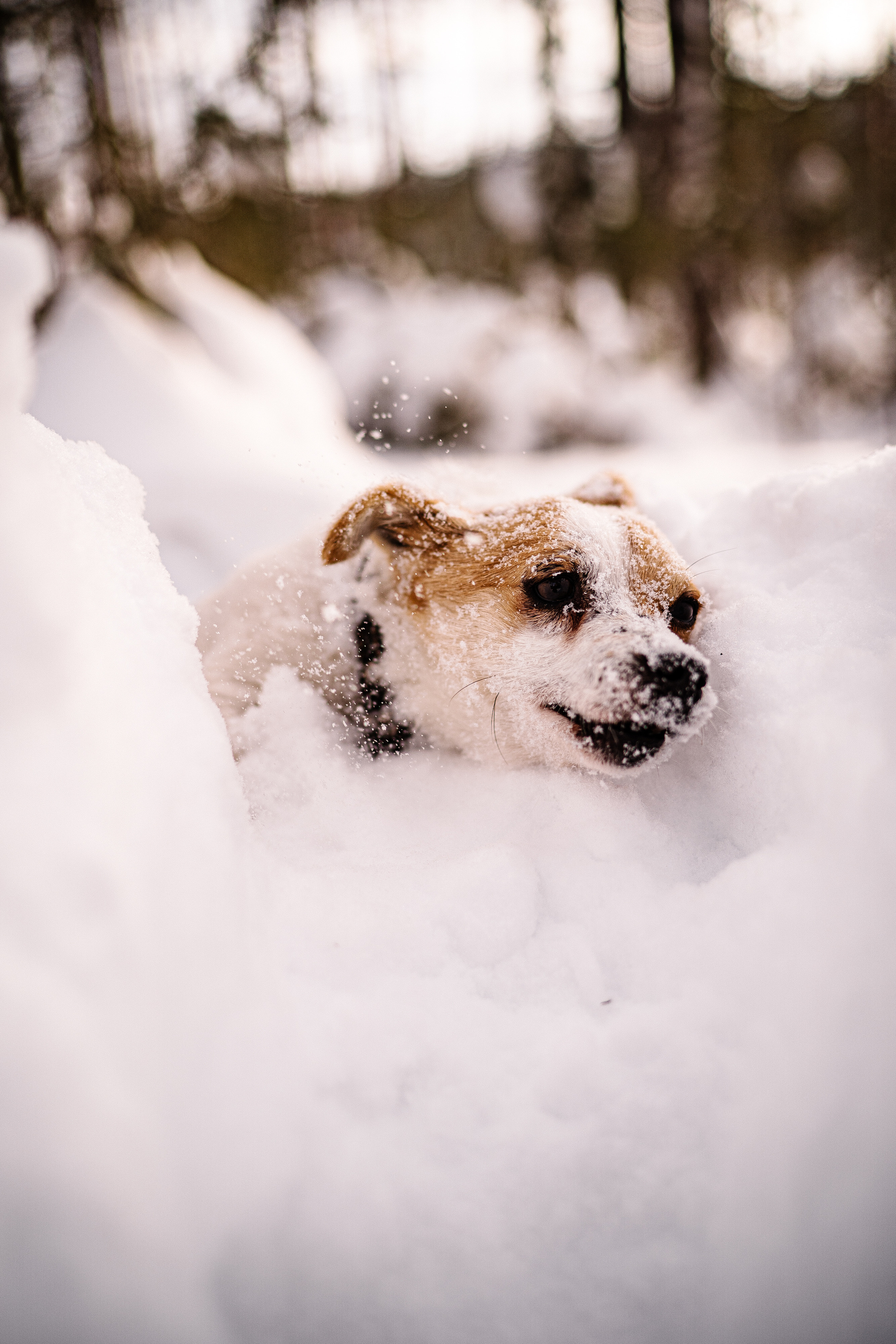 One love — one day. Искренний фотограф