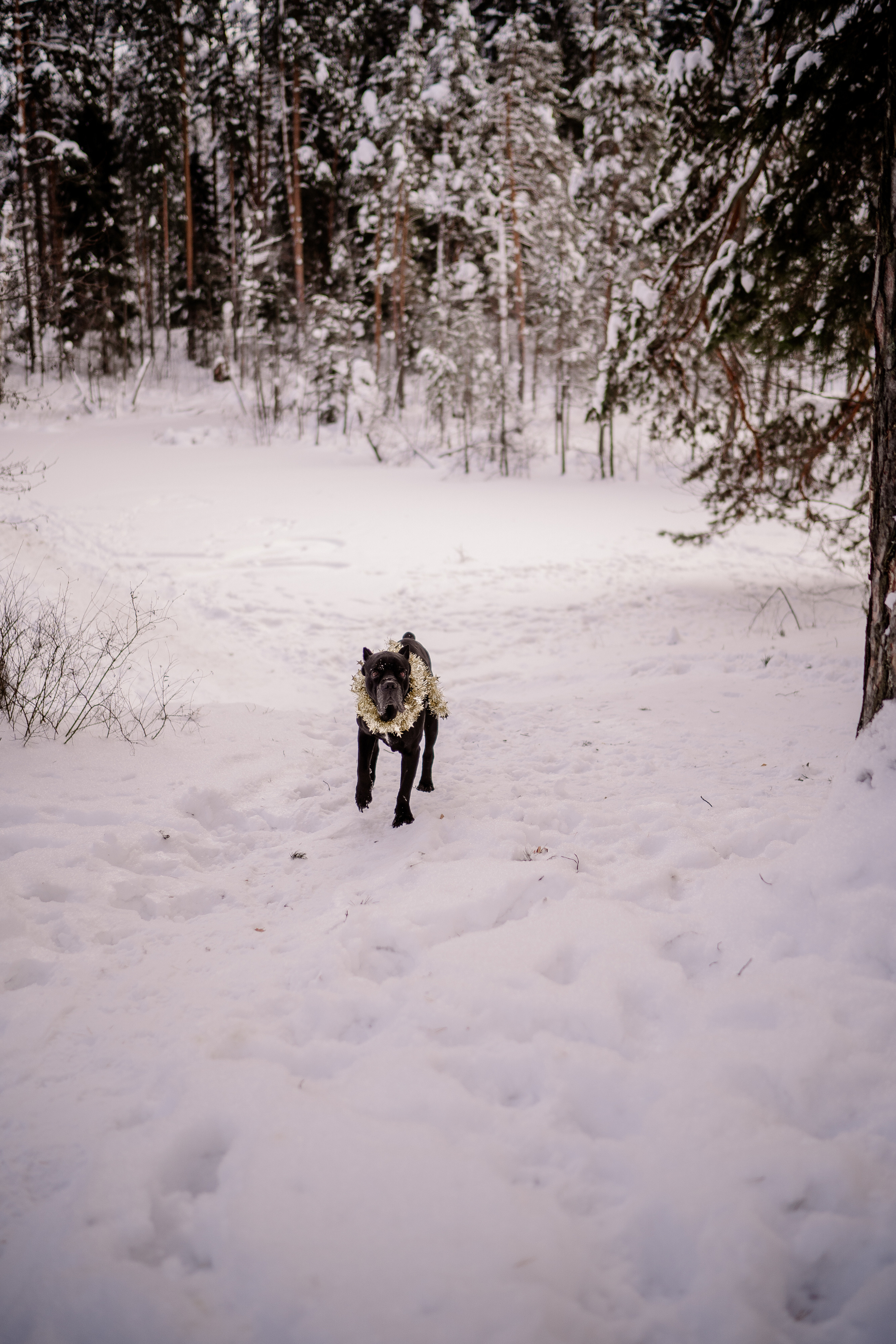 Боря 1 годик. Искренний фотограф