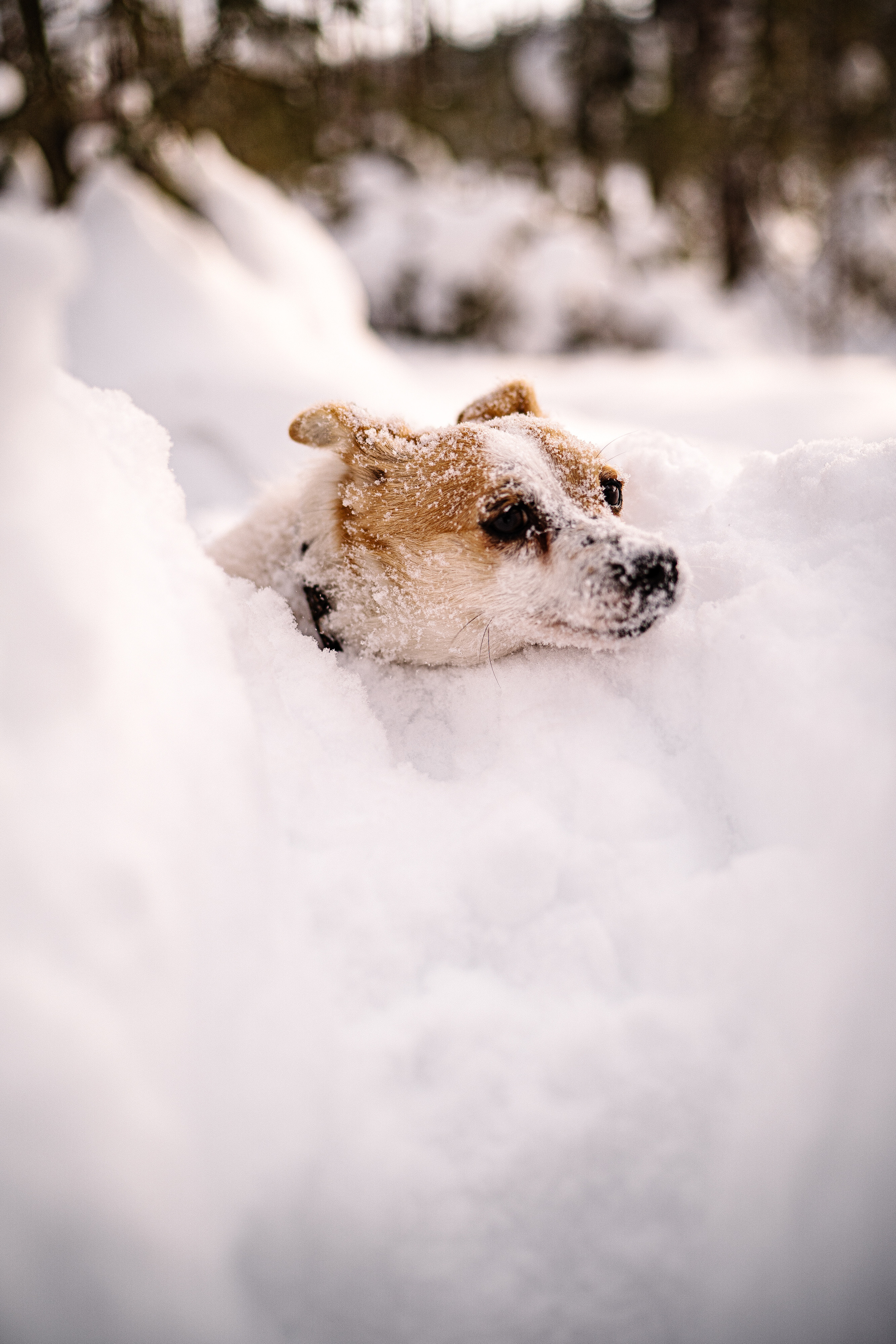 One love — one day. Искренний фотограф