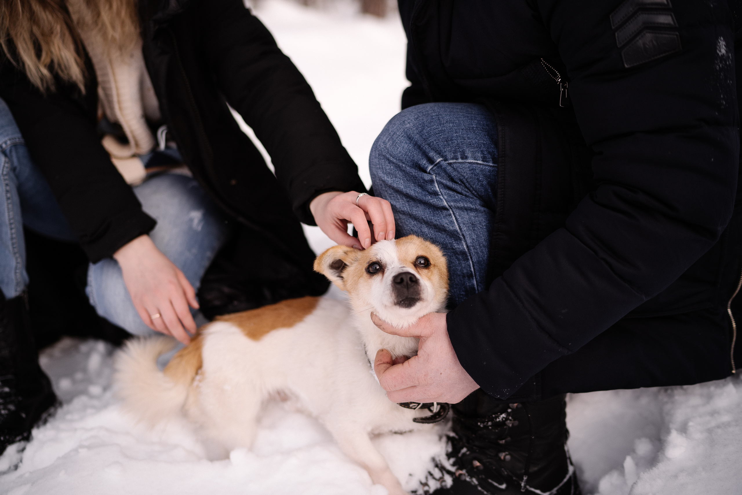 22 января. Искренний фотограф