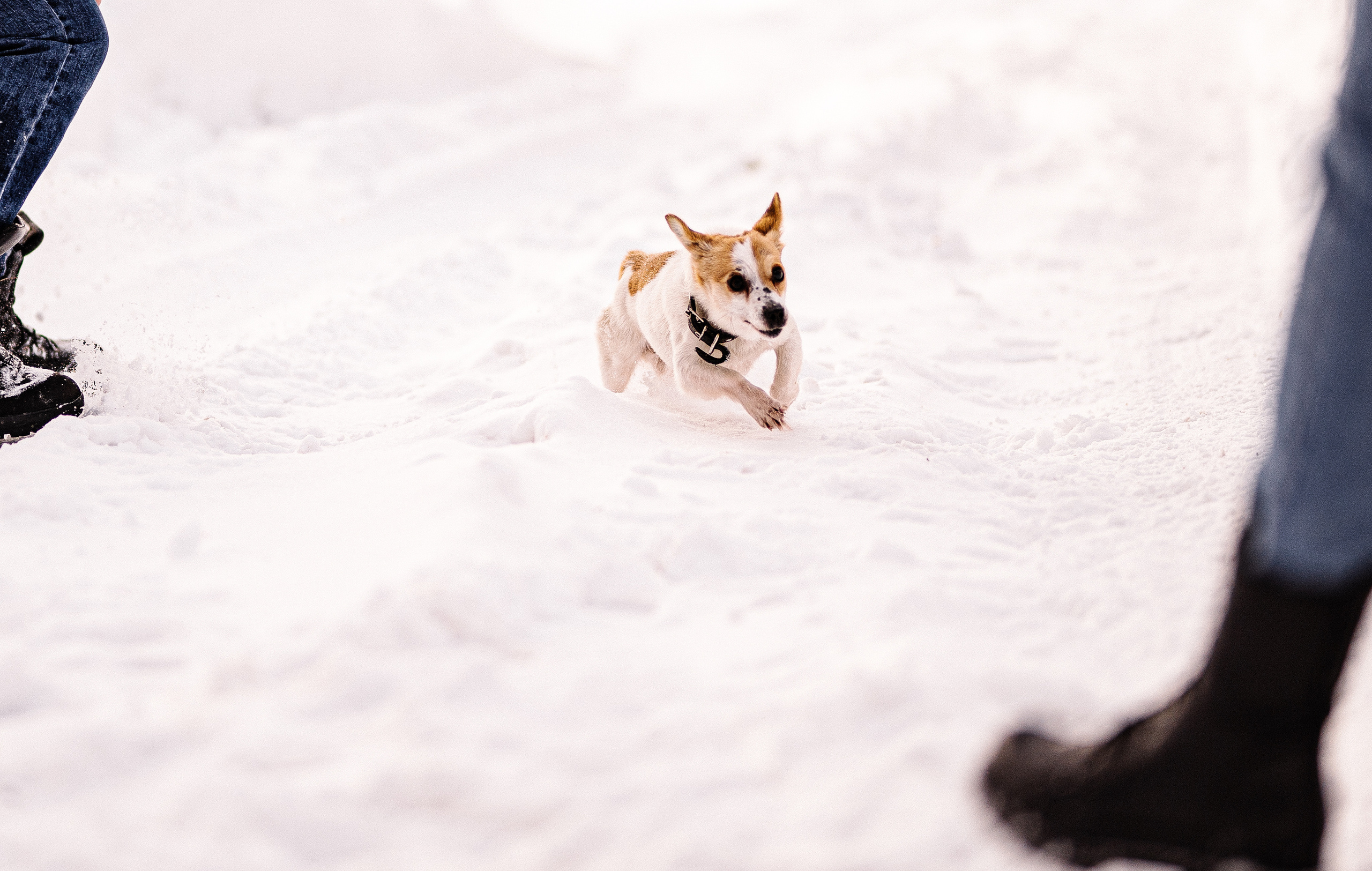 22 января. Искренний фотограф