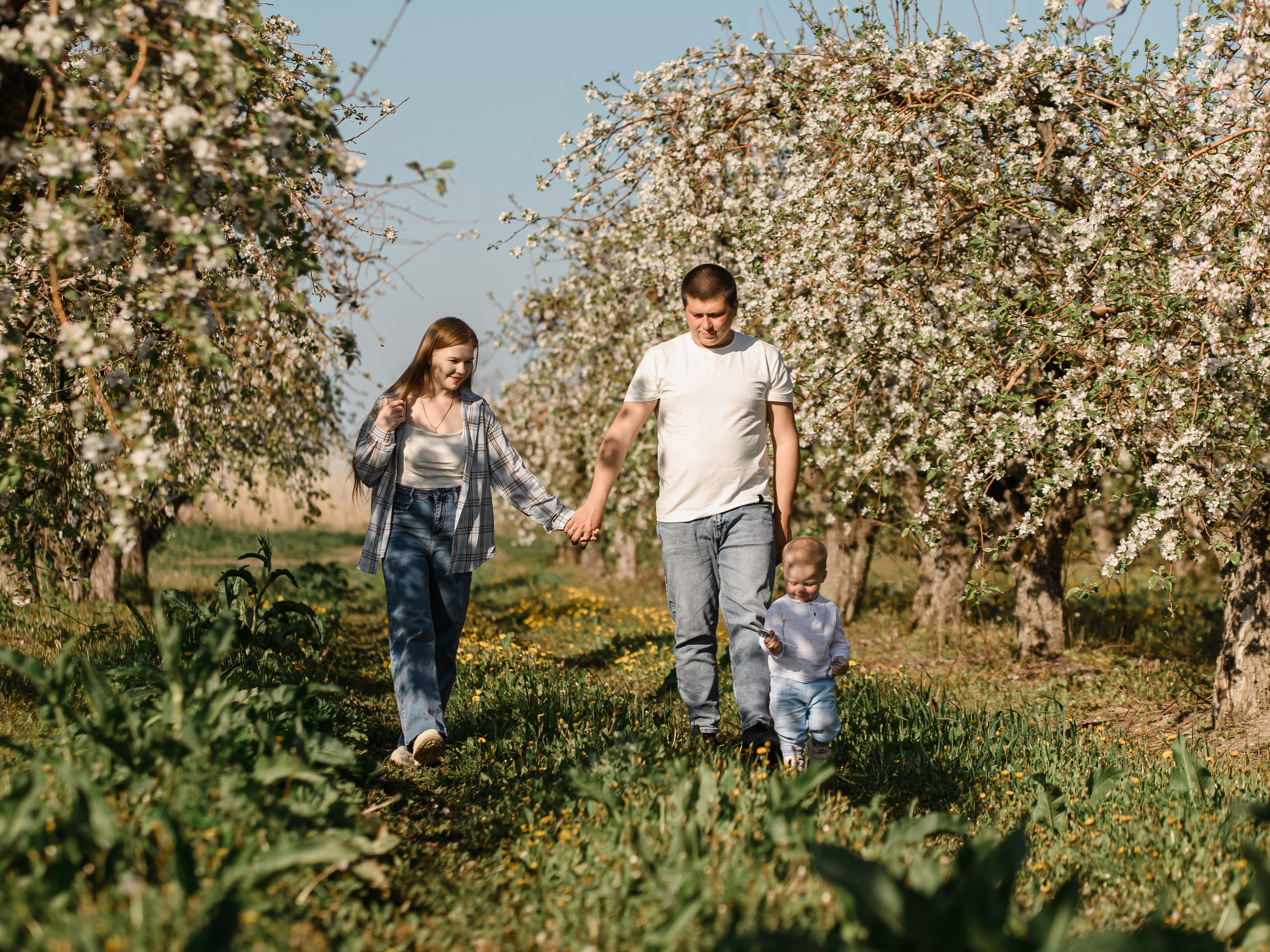 Яблоневый сад. Свадебный и семейный фотограф в Славянске-на-Кубани Прохорова Алёна