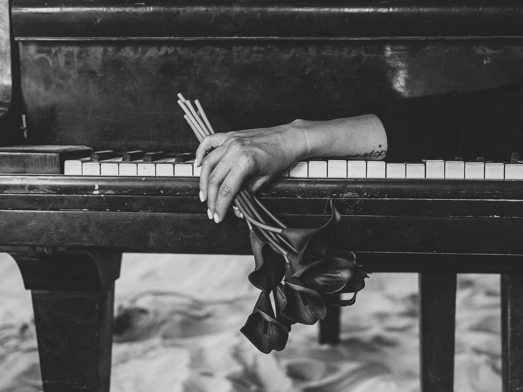 Феникс. Семейный фотограф в Санкт-Петербурге Ира Ревчук