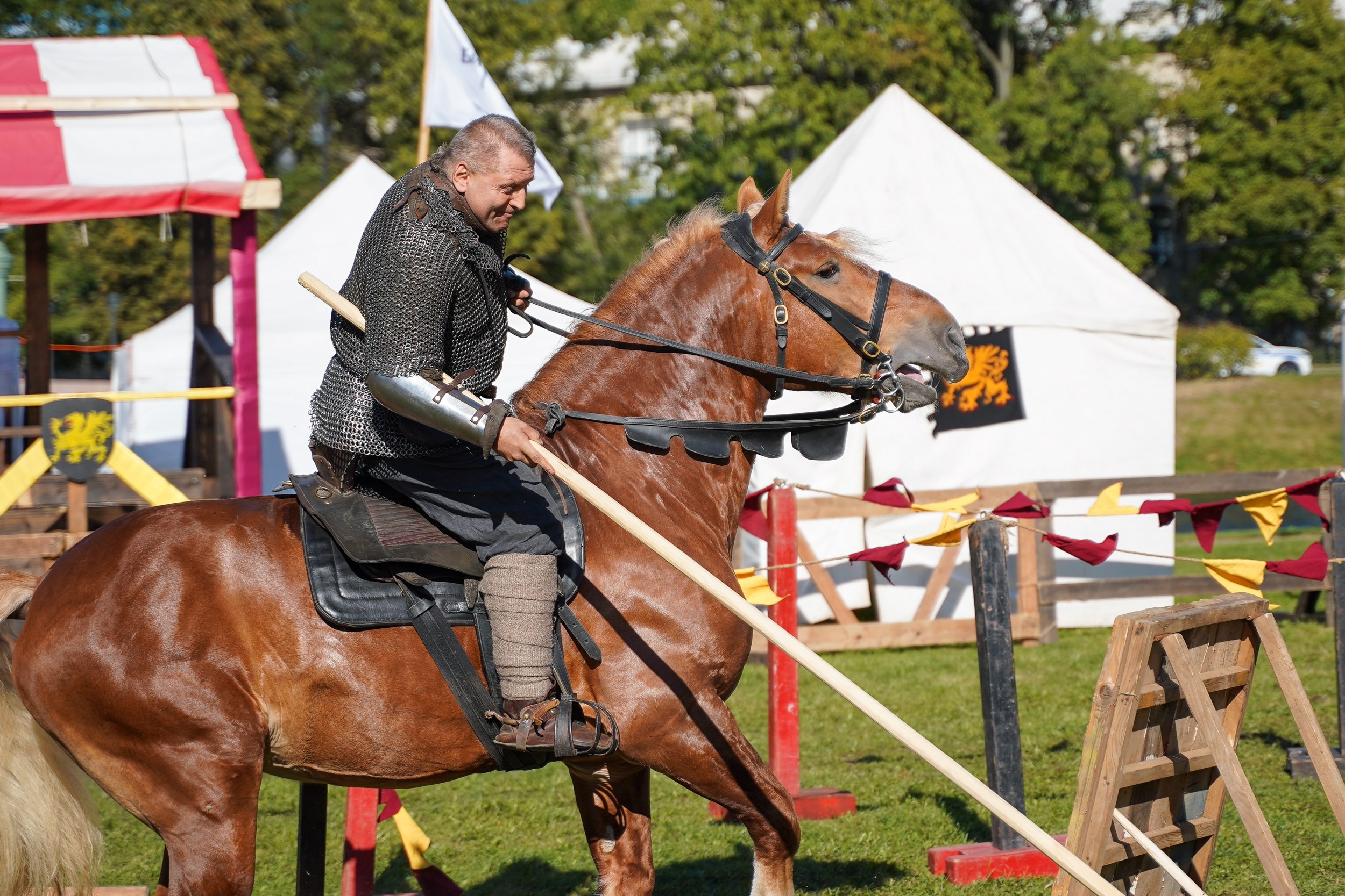 Рыцарский турнир в рамках фестиваля «Битва на Неве» Санкт-Петербург 2024 г. Фотограф-анималист, портретный фотограф в Чебоксарах Мария Садыкова