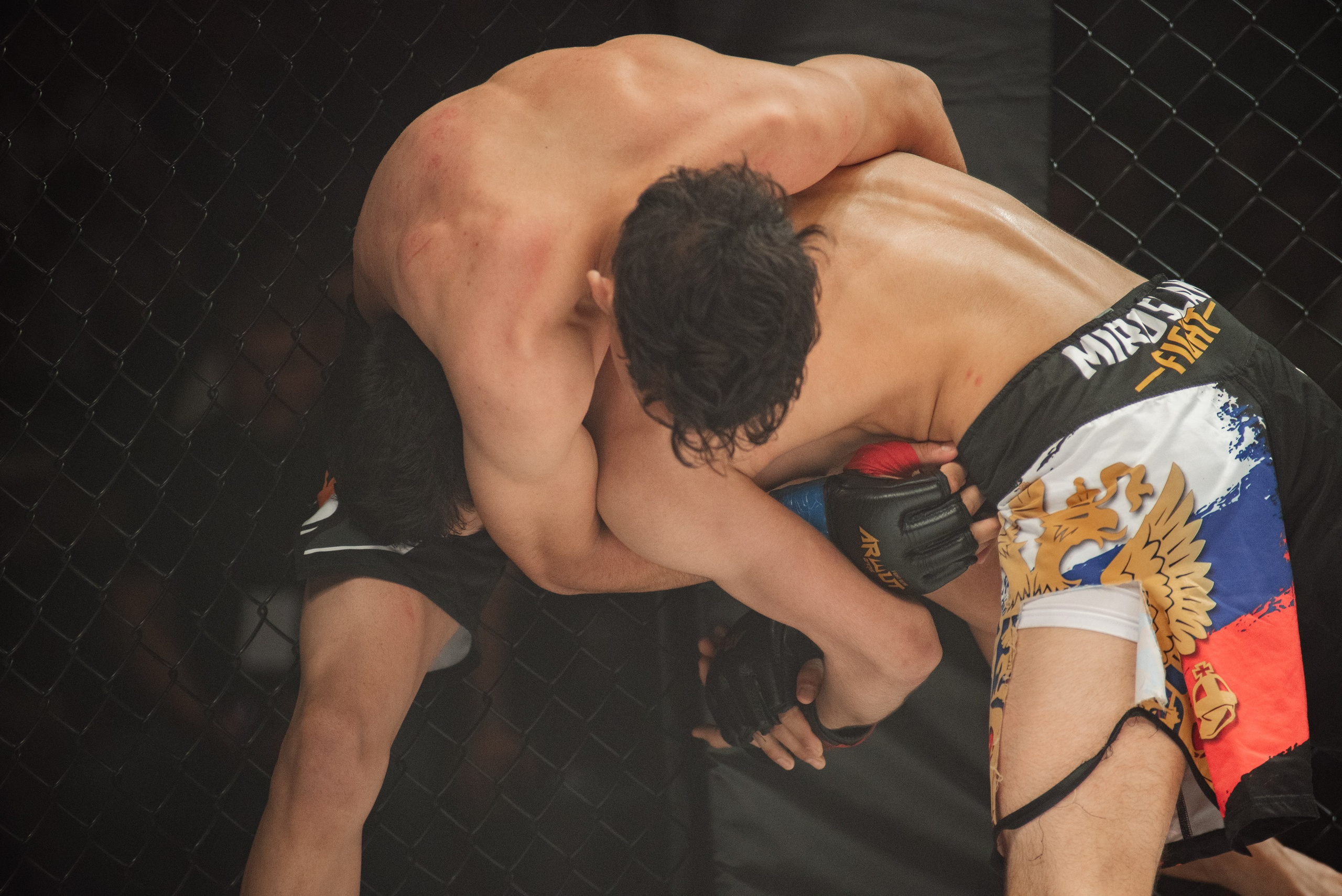 Miroslava Fight