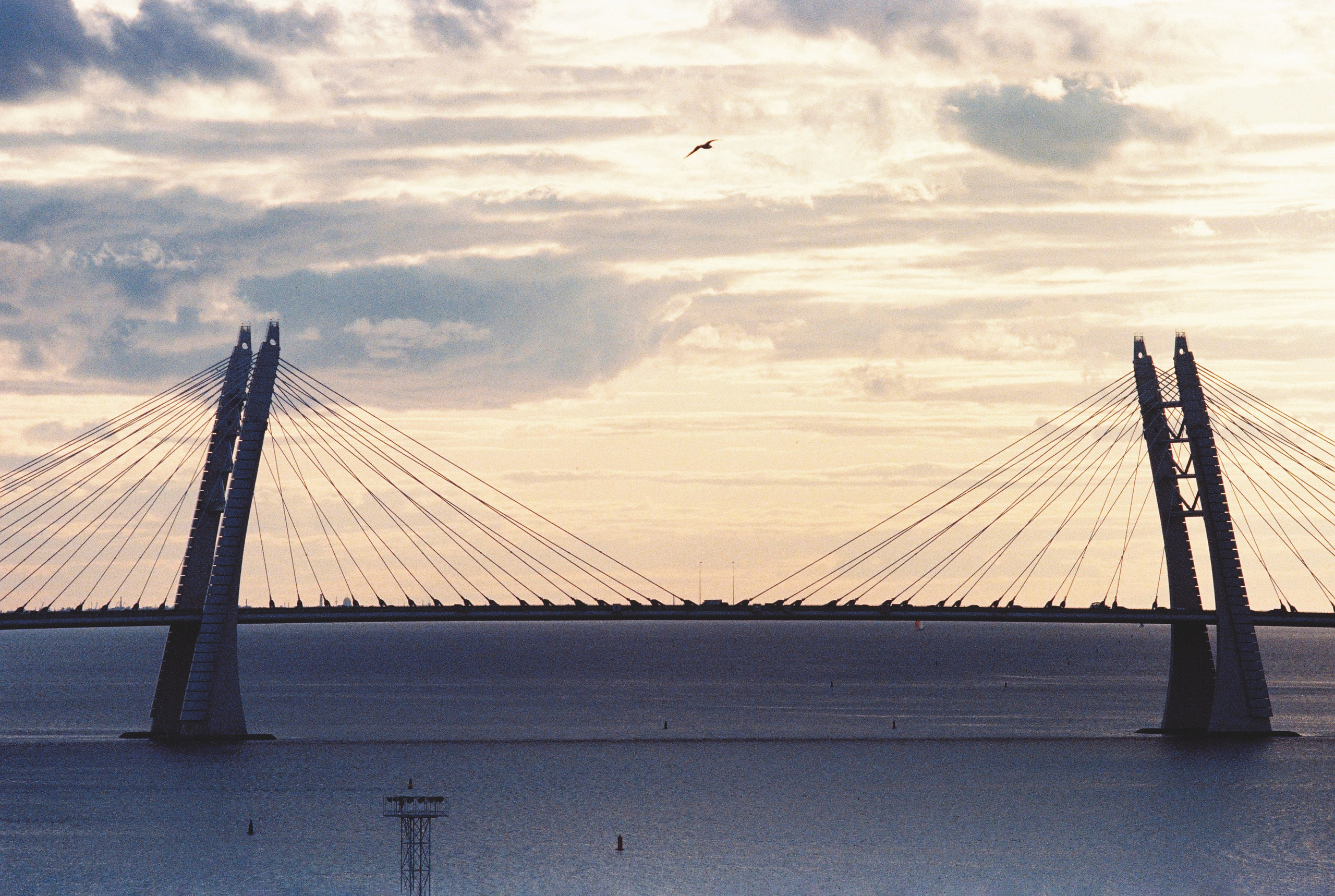 Фотографии цветные. Свадебный и семейный пленочный фотограф в Петербурге Истомина Ирина