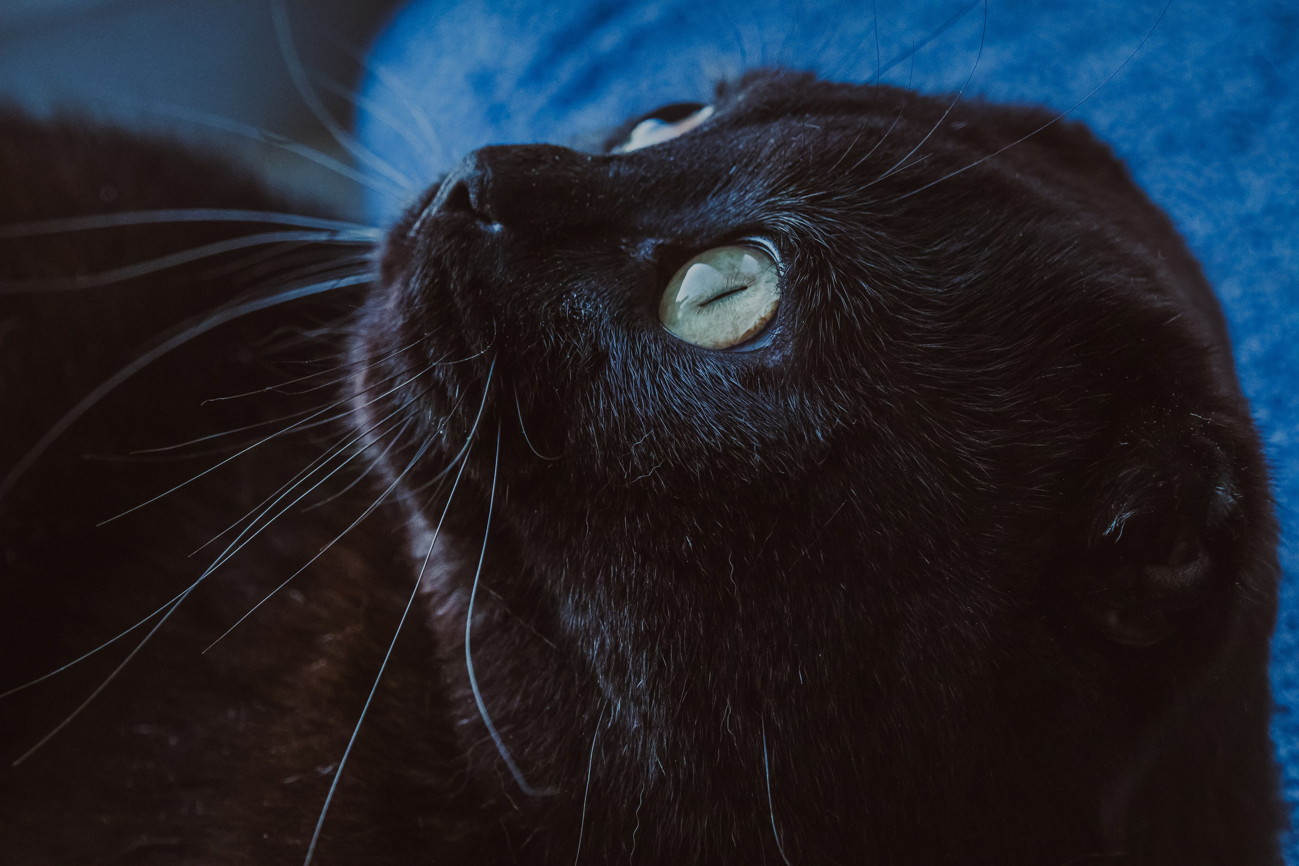 Нетривиальная СЪЕМКА. VSolo — ваш EVENT фотограф