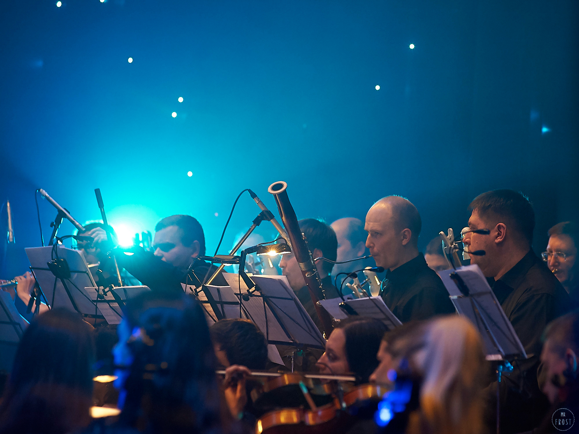 ДиДюЛя. Фотографии отовсюду и обо всем