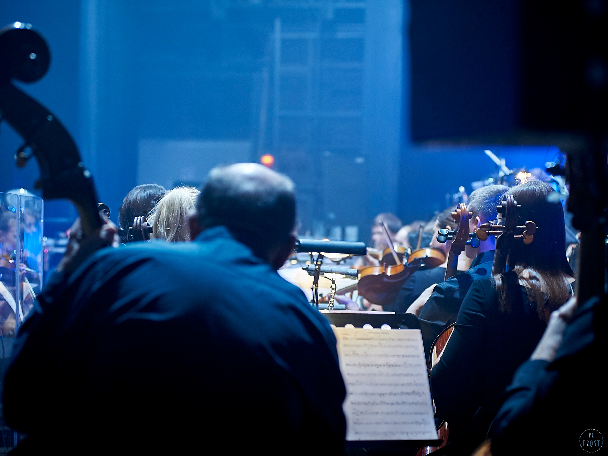 ДиДюЛя. Фотографии отовсюду и обо всем