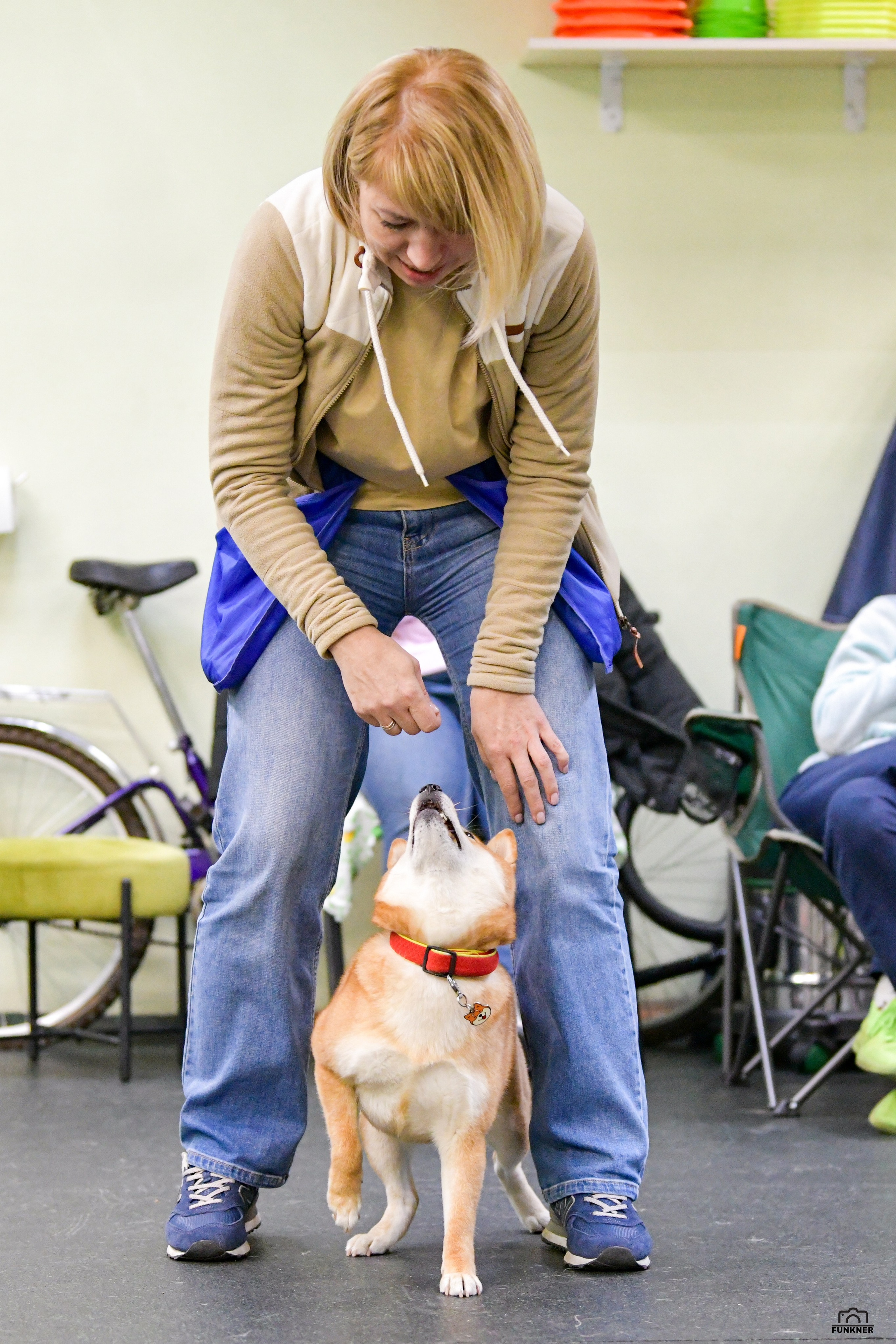 Кинологический клуб «Бодрый хвост». Свой взгляд через объектив