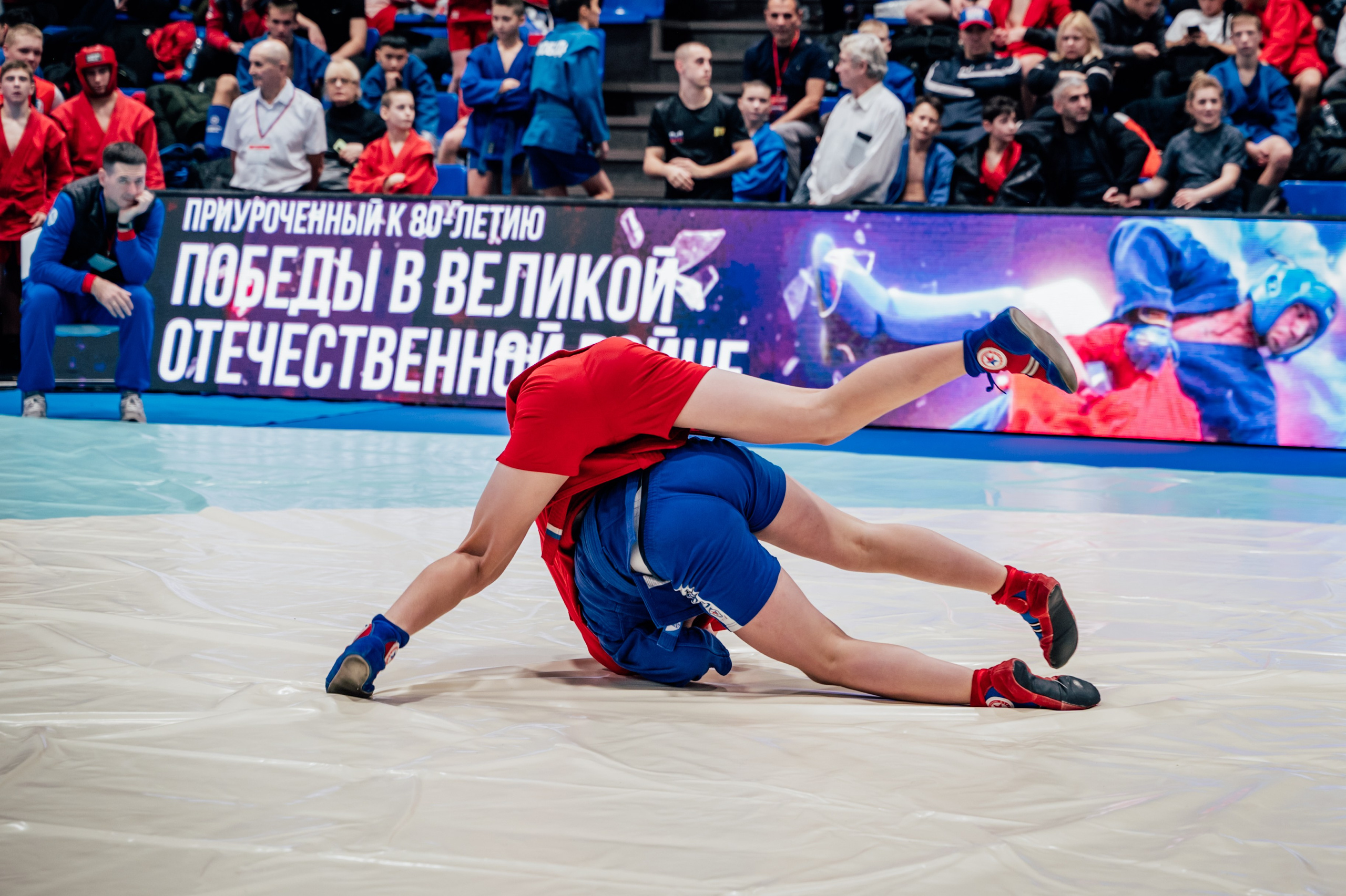 Турнир по самбо ЮФО