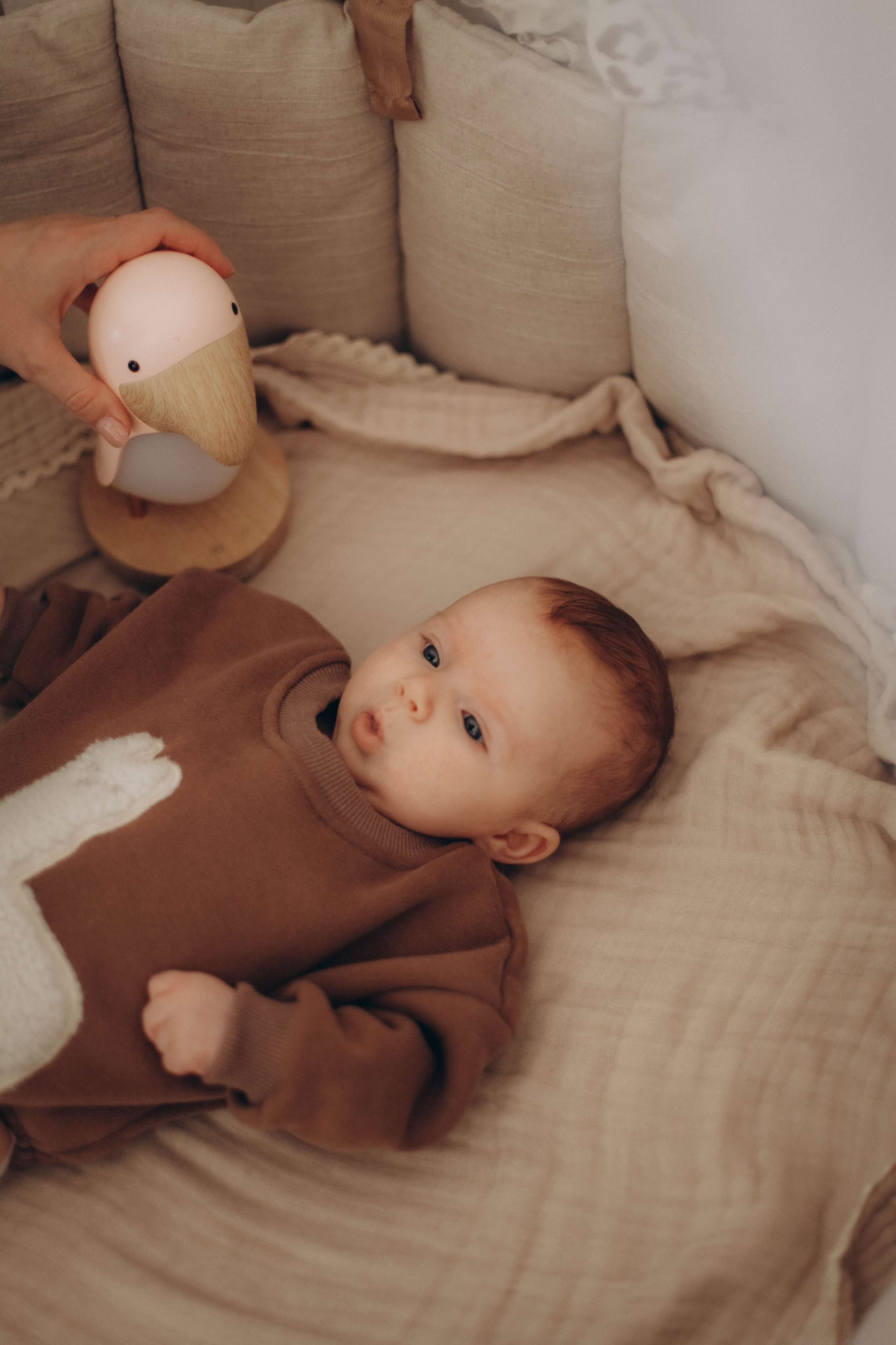 Александра. Семейная фотография в Санкт-Петербурге Елизавета Шепель