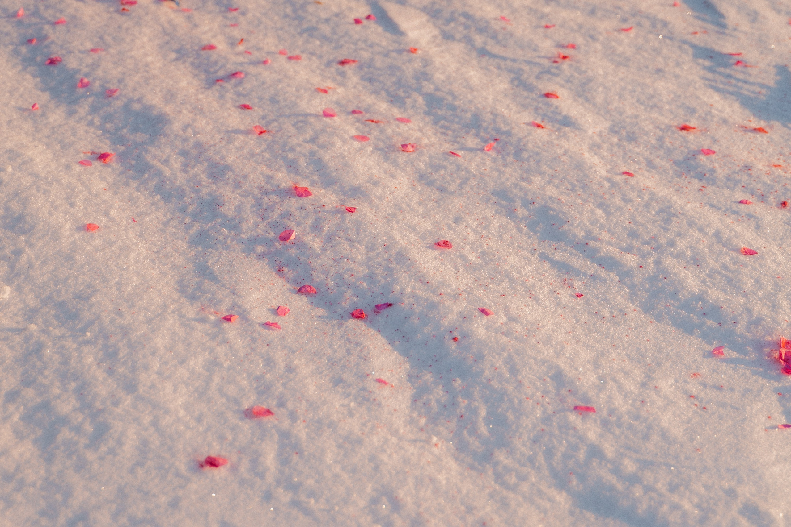 Бесконечность. FotoTanya. Раменское/Жуковский/Бронницы