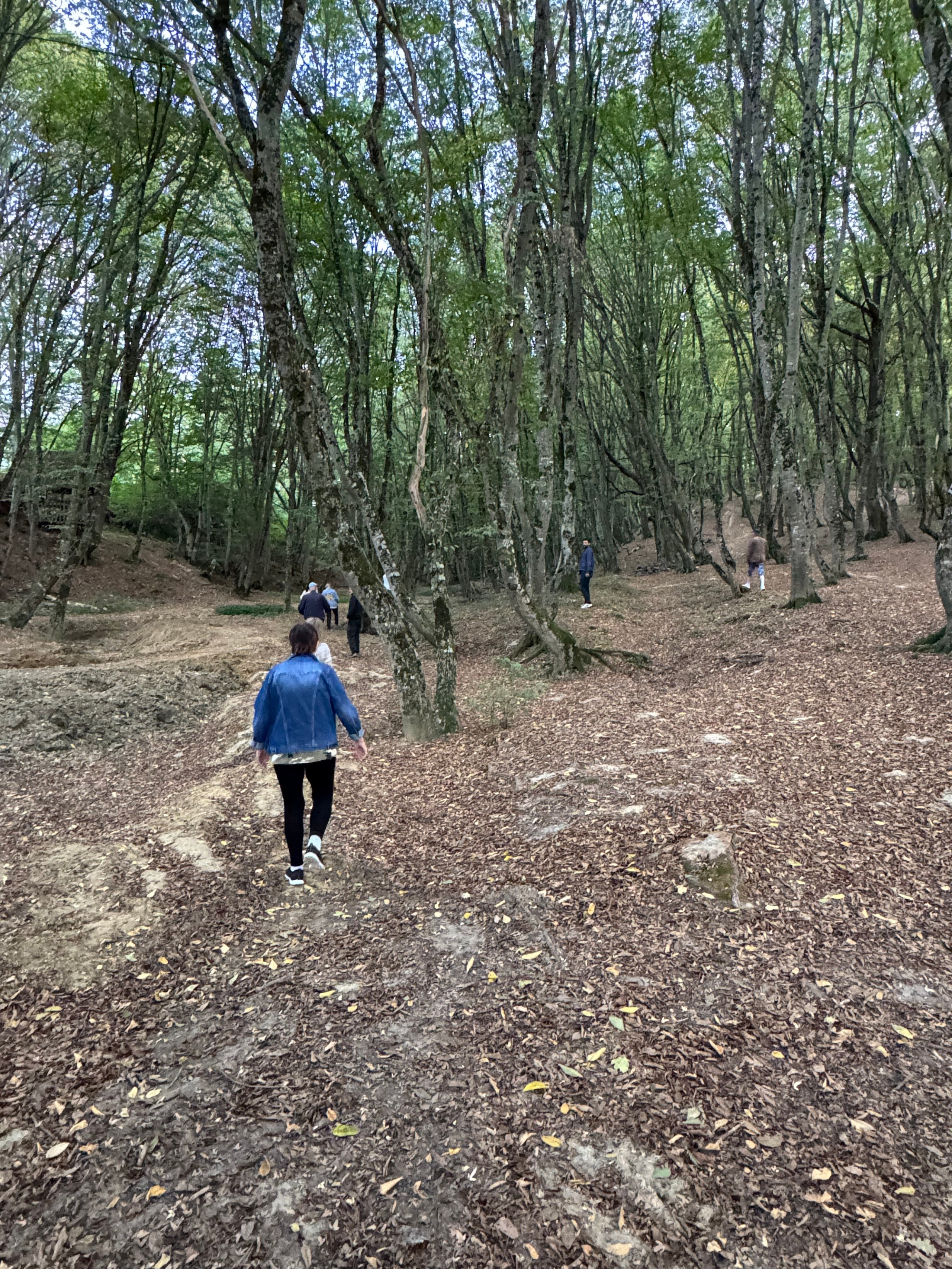 Горячий Ключ (2024-09-20). Собор Отрасли