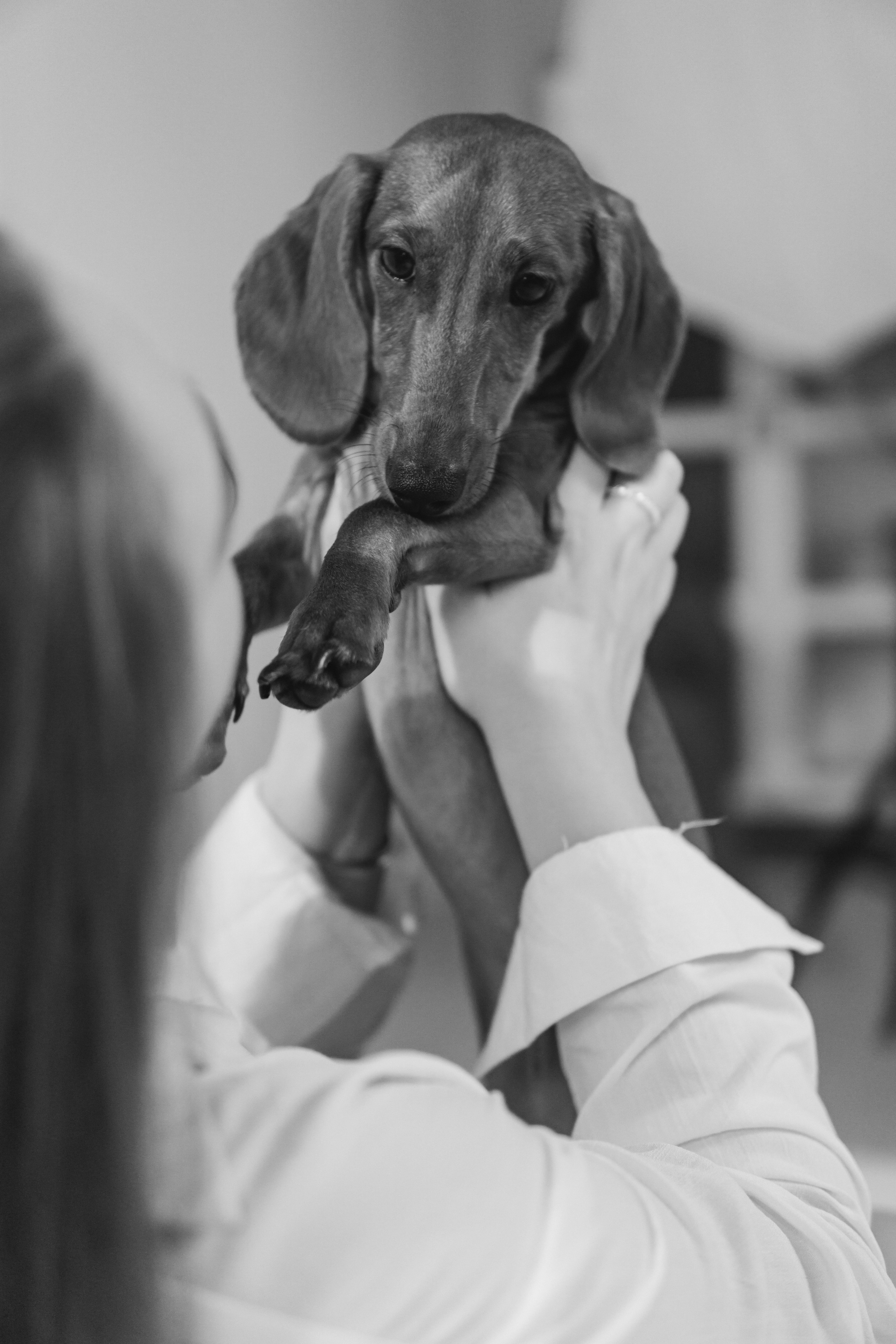 Анна и Сальвадор. Фотограф в Москве Юлия Першина