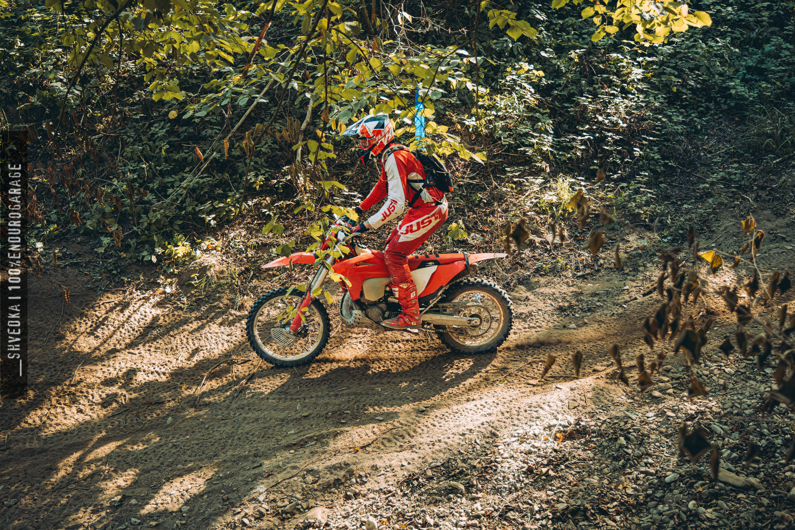 2 лесной день. Ваш экстрим фотограф Кудрева Яна