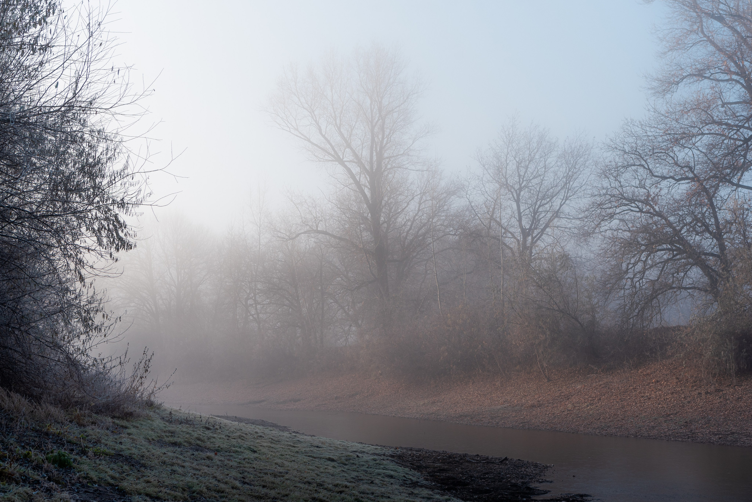 Фотографии утреннего тумана под Волжским. Фотограф в Волгограде и Волжском Александр Горбань