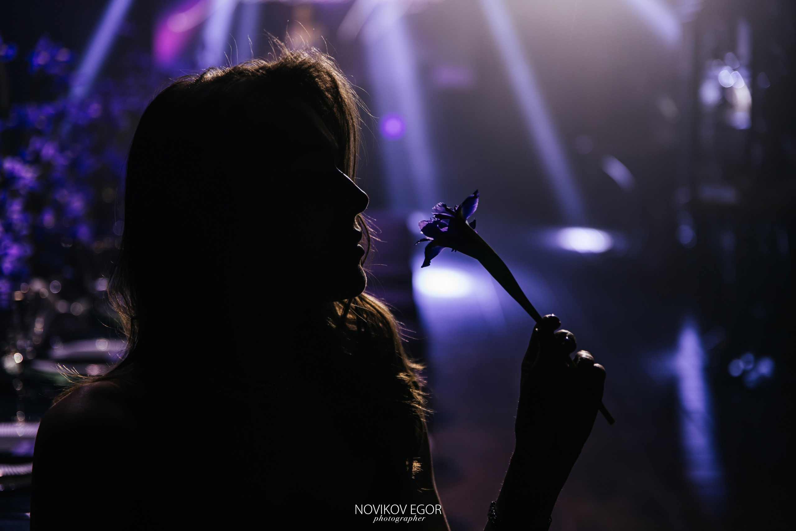 Анютины Глазки. Фотограф Ростов-на-Дону