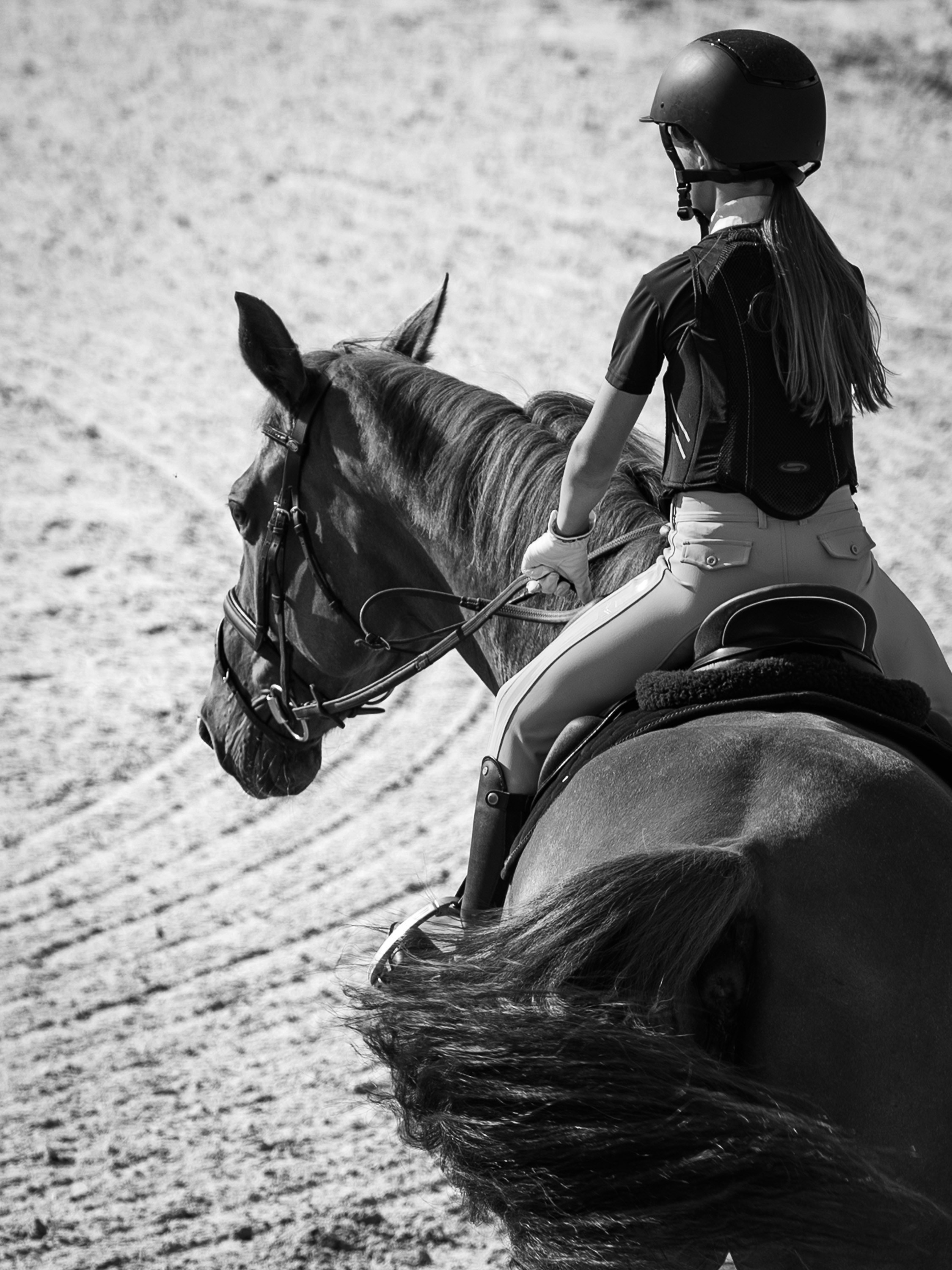 Конный спорт. Alexandrovna photography