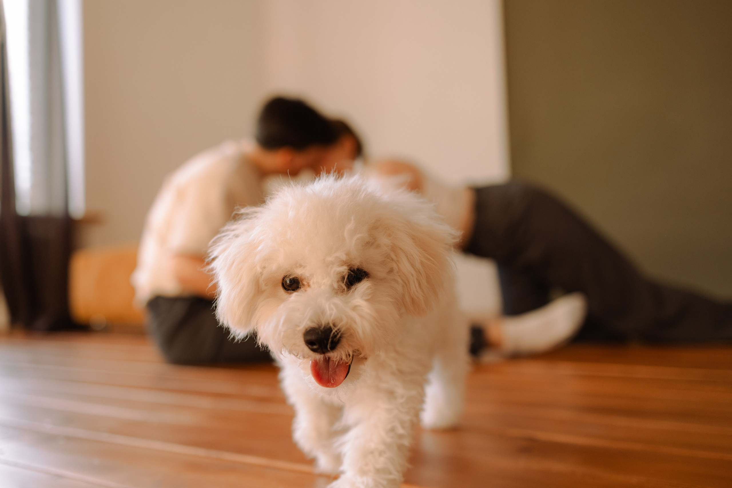 Луна и ее семья. Фотограф — Анималист | Санкт-Петербург