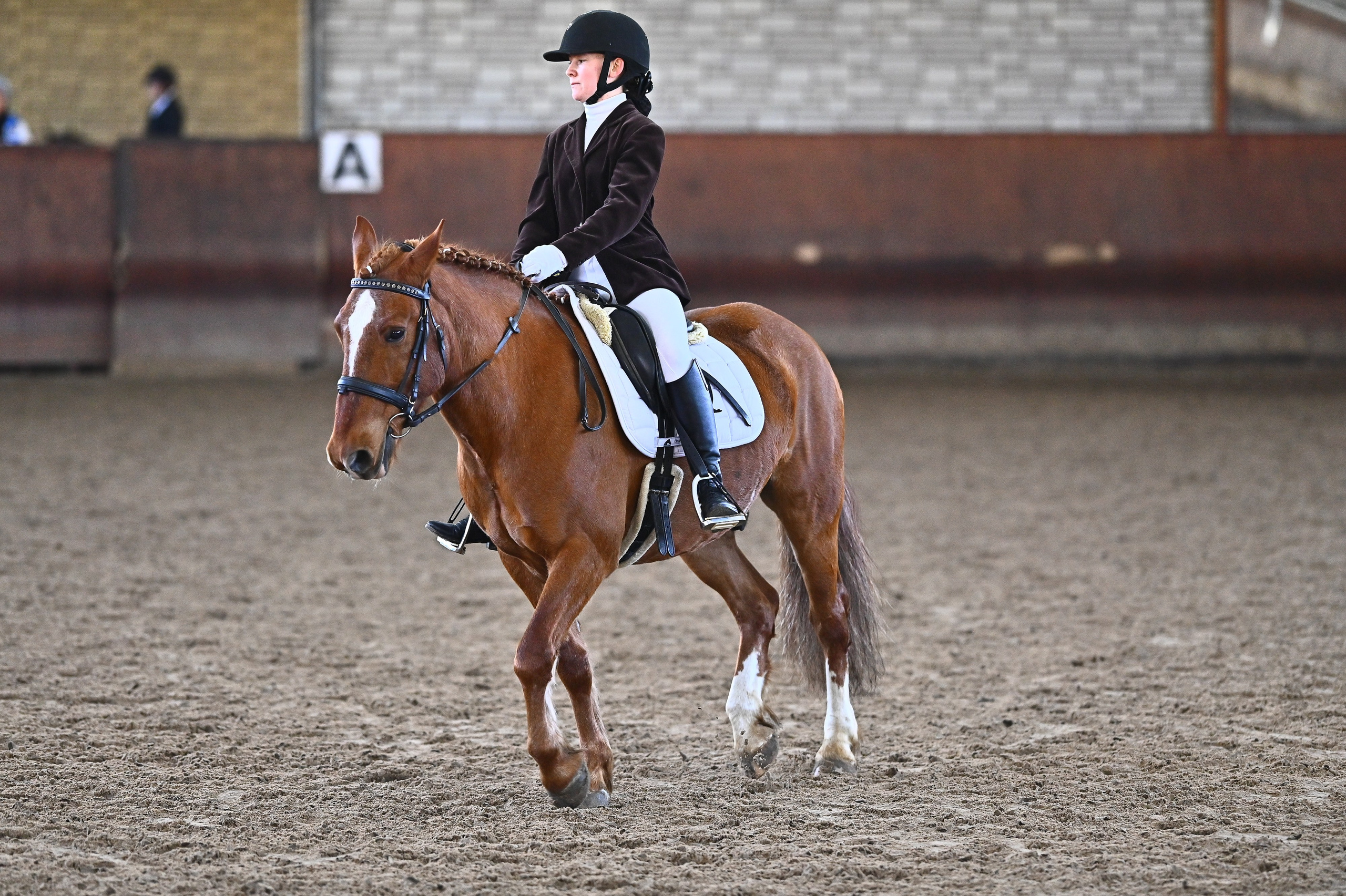 Отзывы. ТУРНИРНАЯ КОННАЯ ФОТОГРАФИЯ, Руднева Ольга и Евгений Адеев