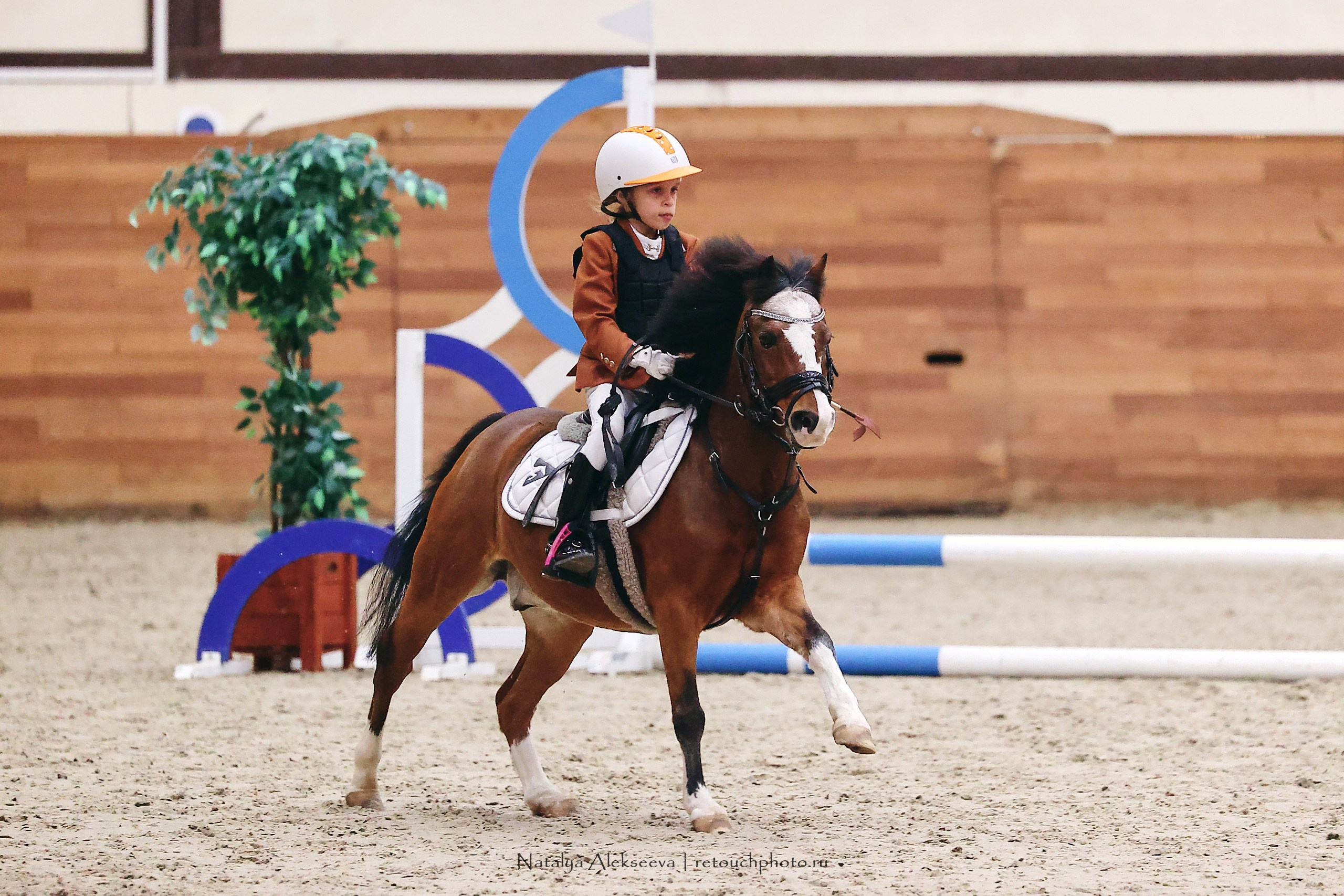 Финал Maxima Park по конкуру, Maxima Stables | 10'2023. Репортажный фотограф и ретушер в Москве Наталья Алексеева