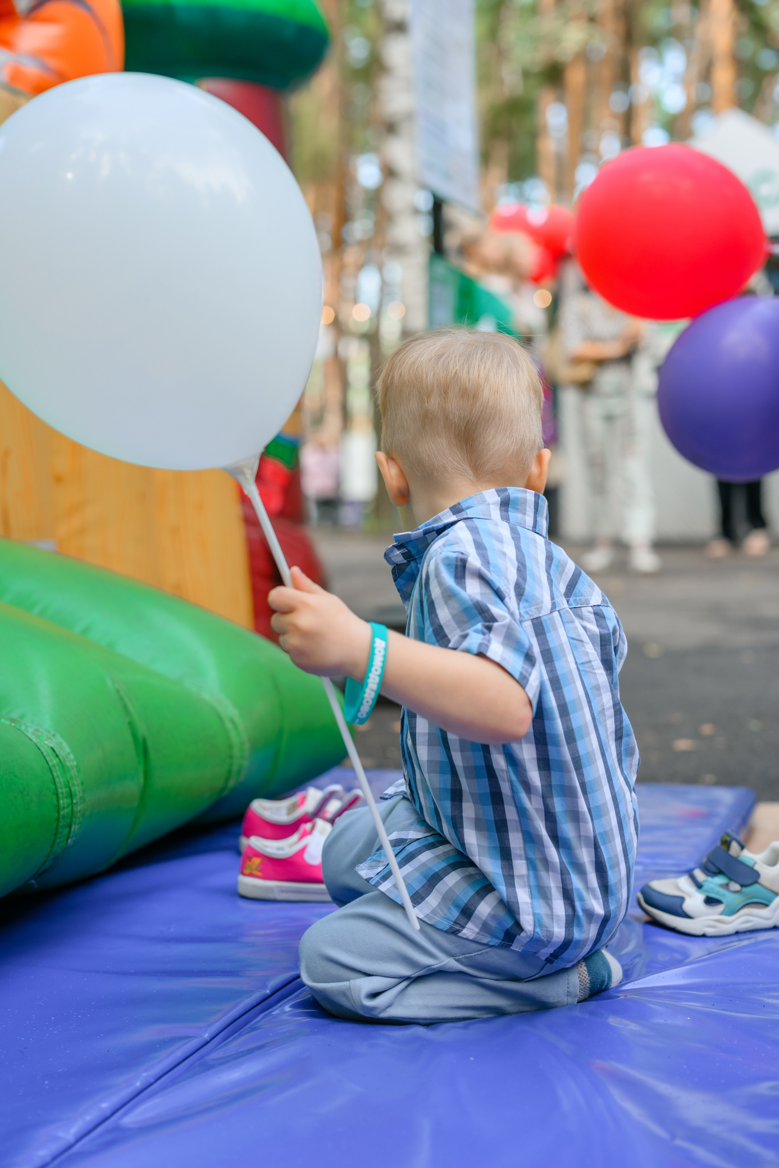 Лев 3 года. Семейный фотограф и анималист в Москве и Московской области