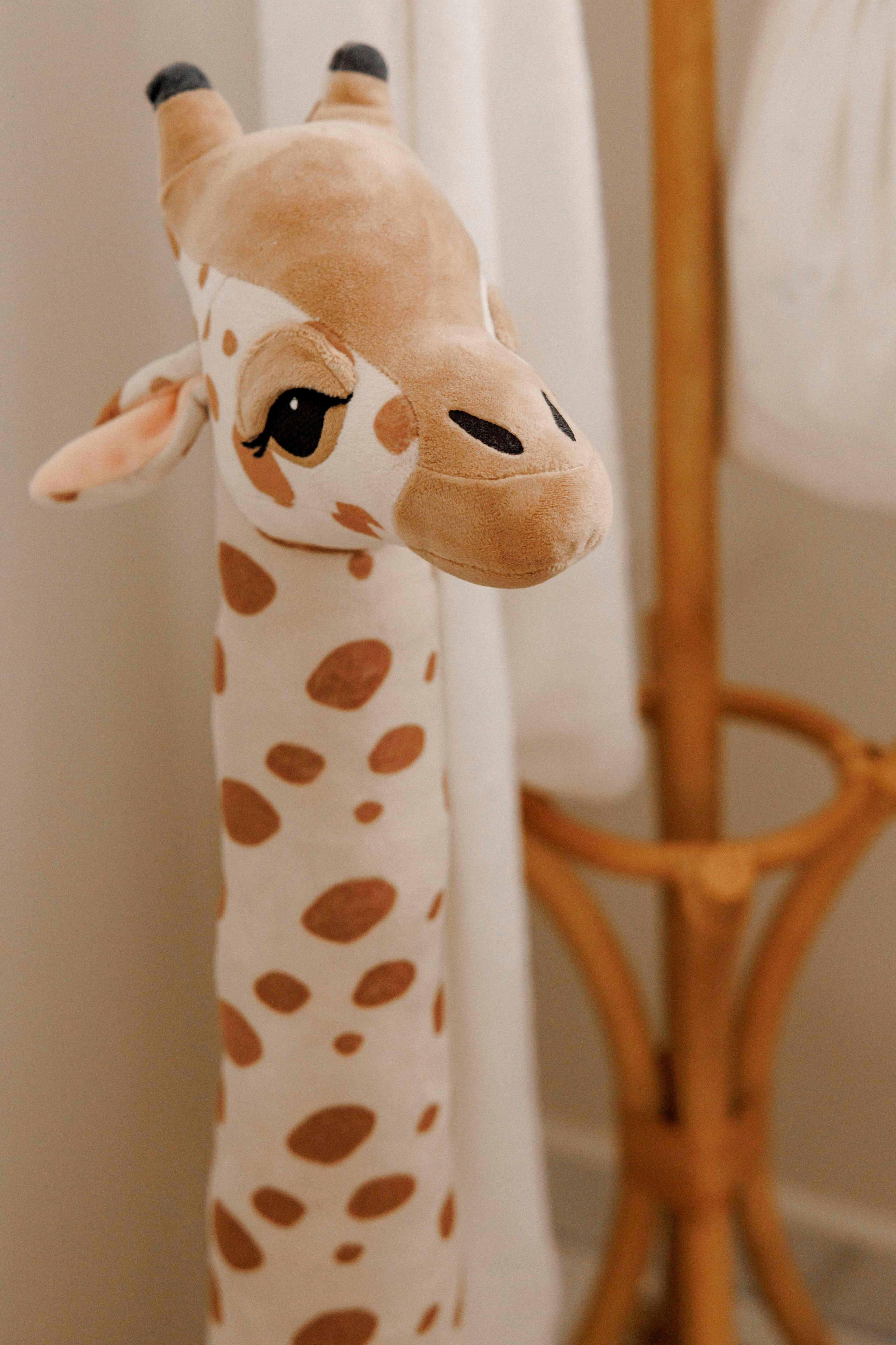 New born family photoshoot at home. Wedding and family photographer