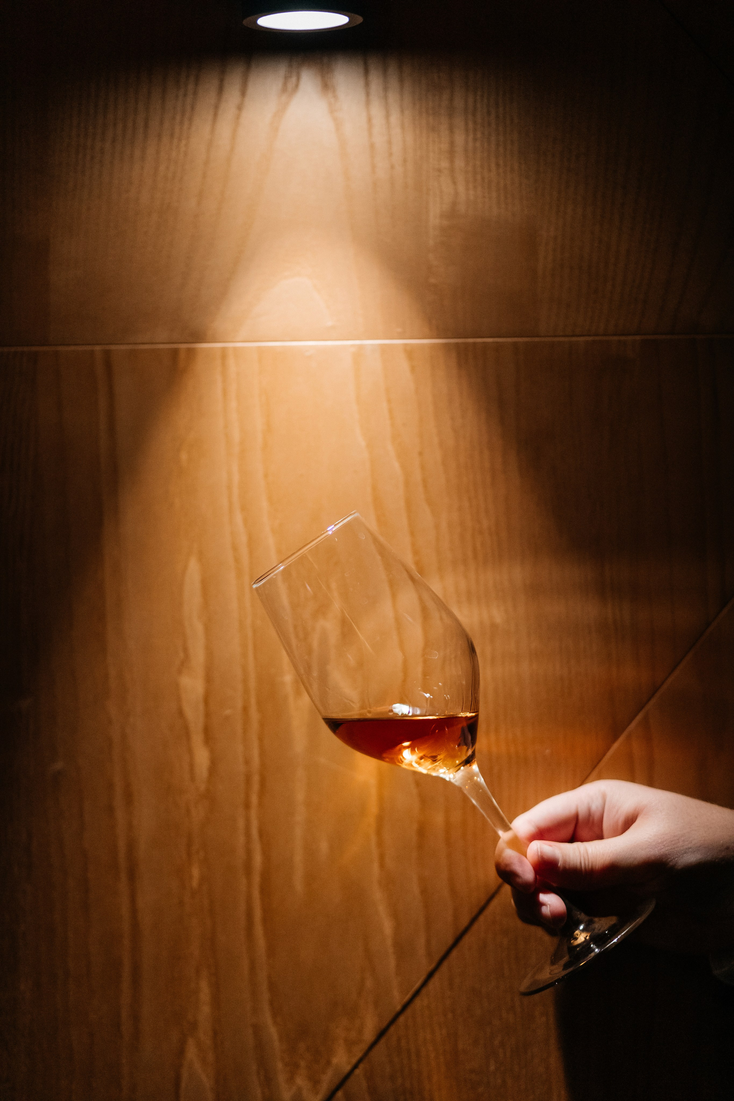 Ужин коньячного дома CAMUS. Душевный фотограф Ваших самых ярких событий Марина Погребняк