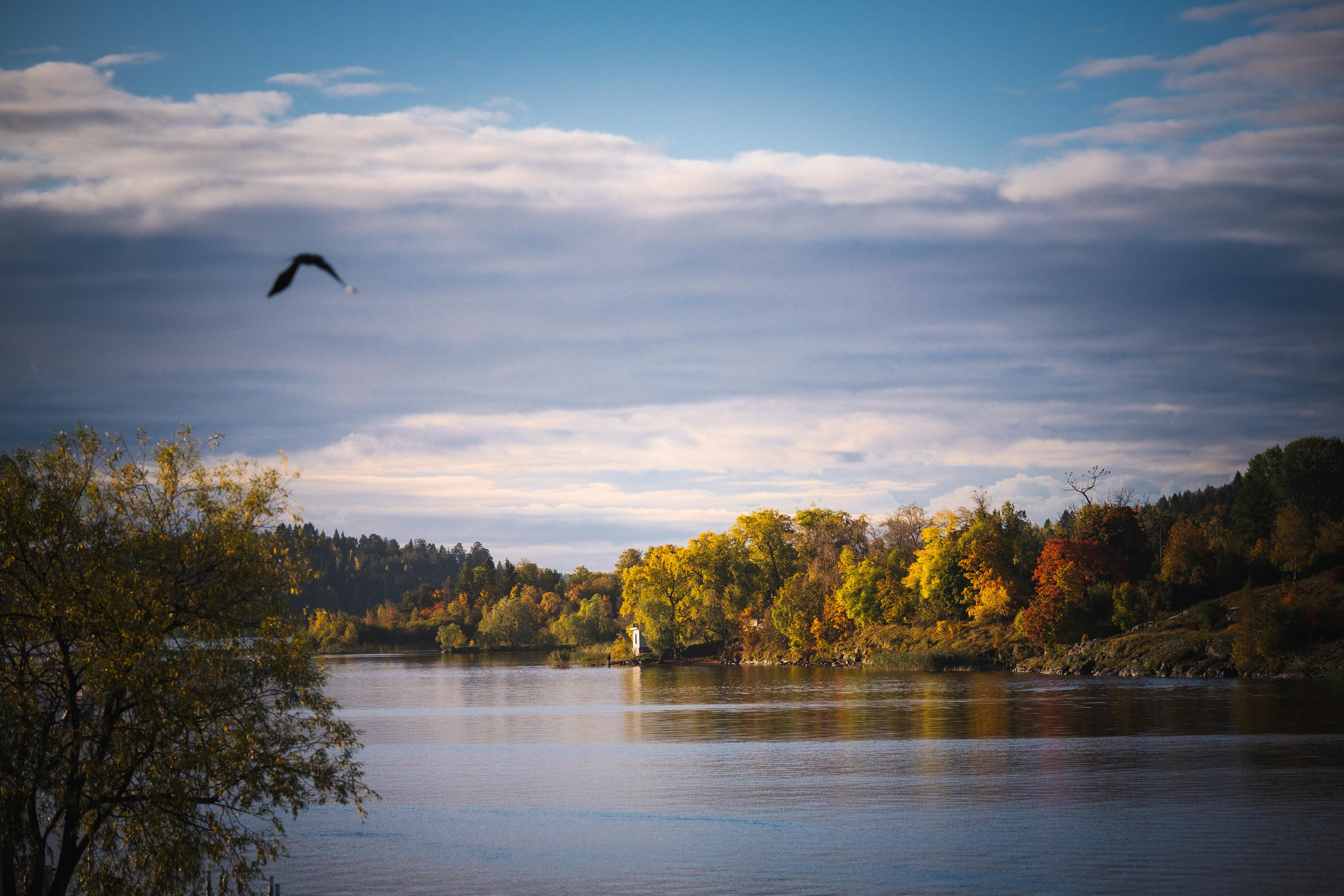 Город. KRUTOVA_фотографирую жизнь