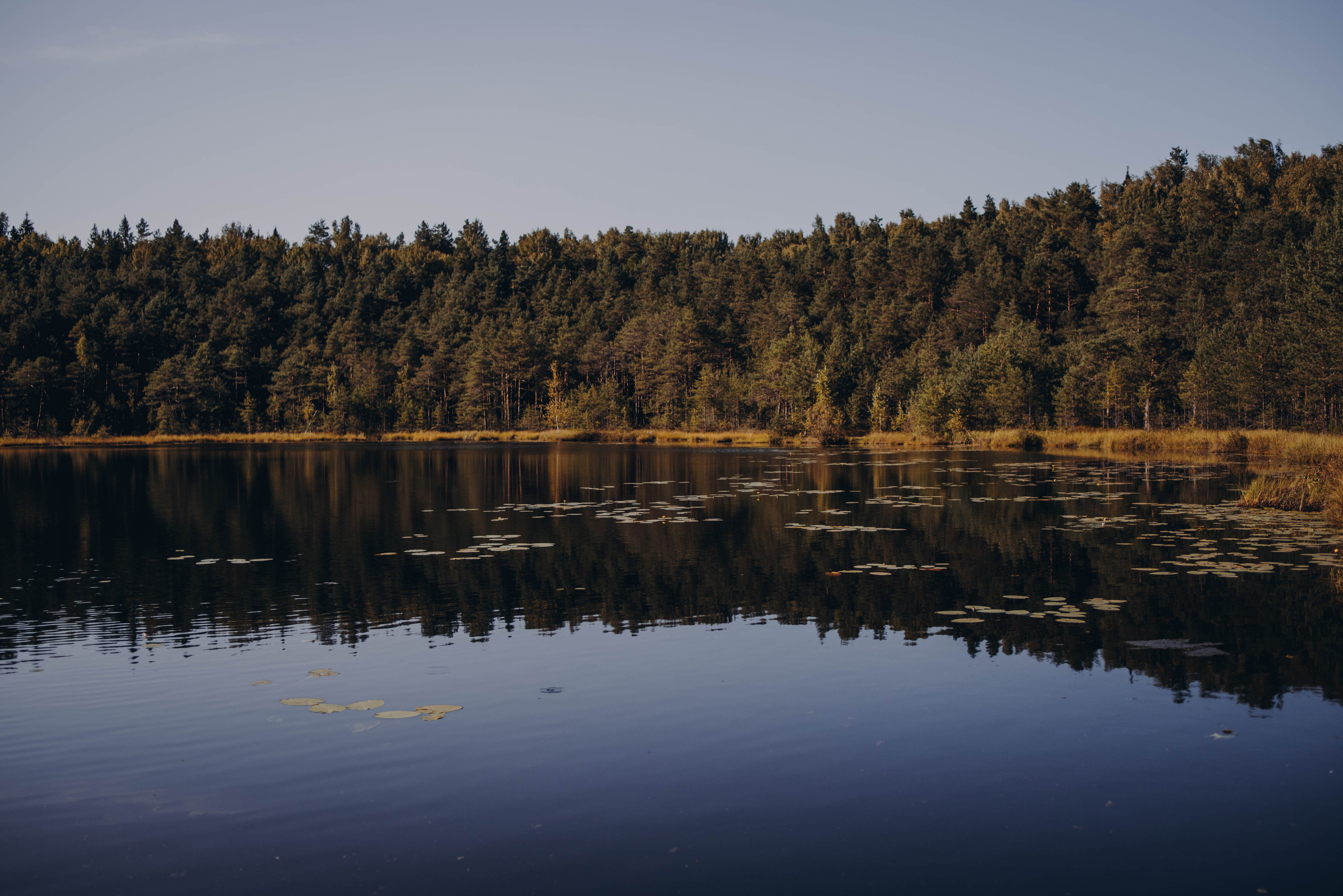 Алина и Равиль. Фотограф и Видеограф во Владимире