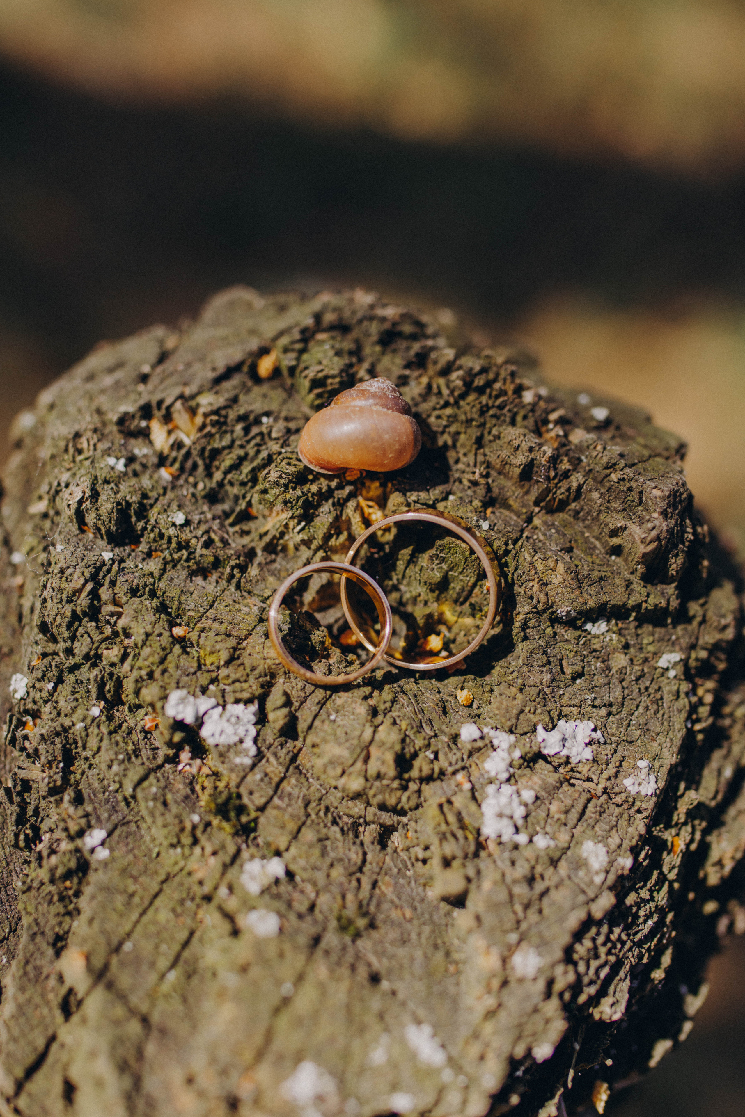 Марина и Никита. Фотограф и Видеограф во Владимире