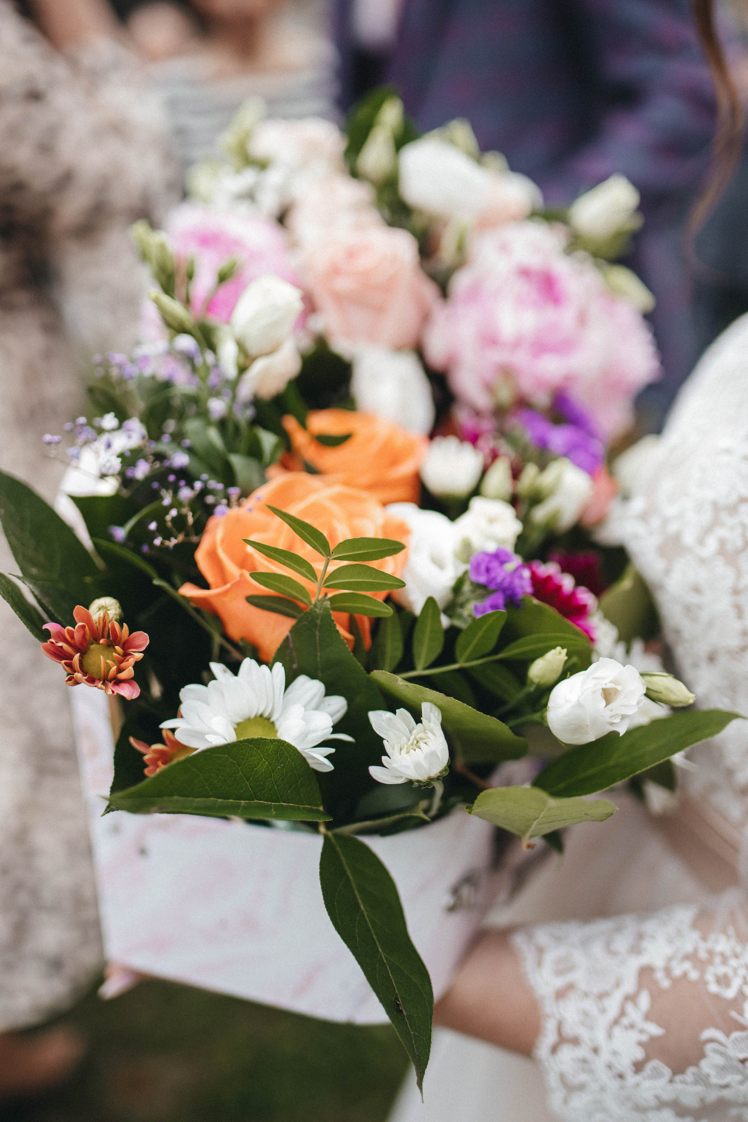 Алина и Филипп. Фотограф и Видеограф во Владимире