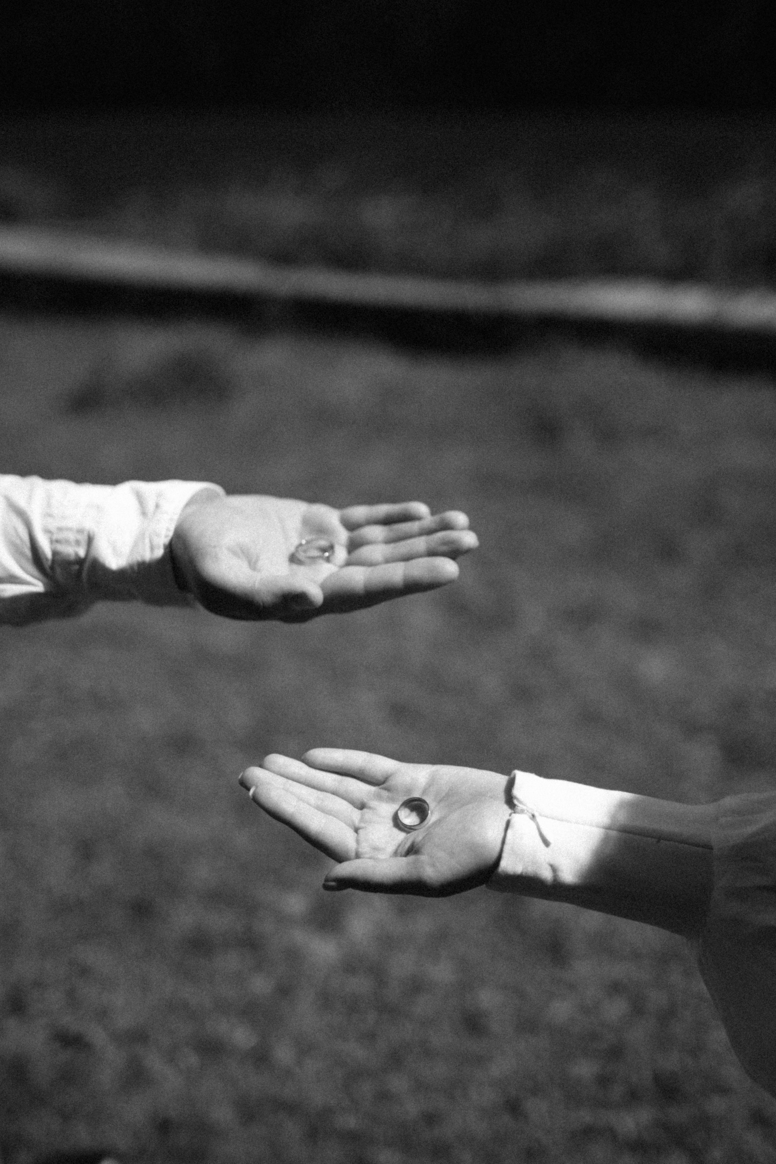 Марина и Никита. Фотограф и Видеограф во Владимире