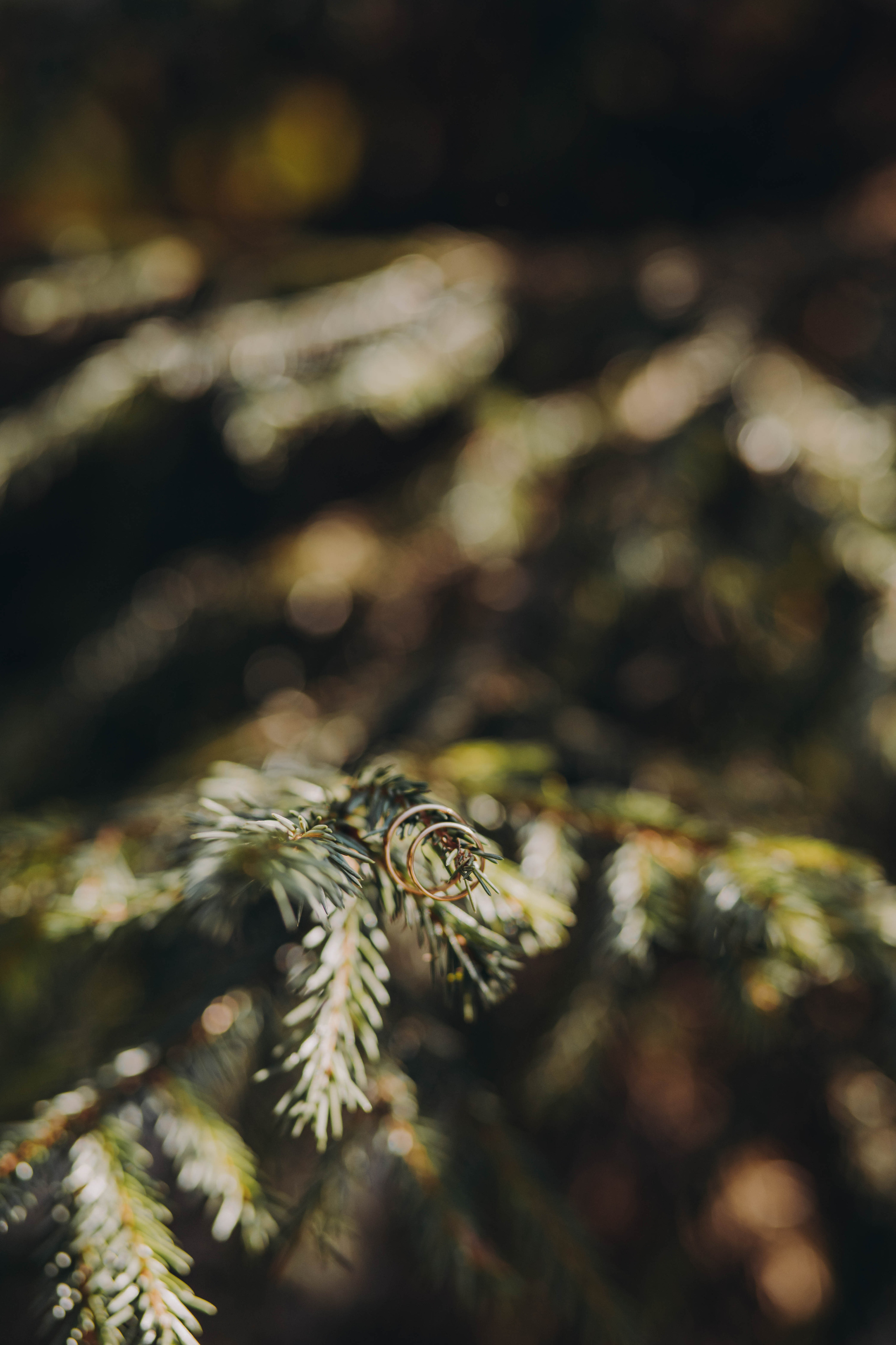 Алина и Равиль. Фотограф и Видеограф во Владимире