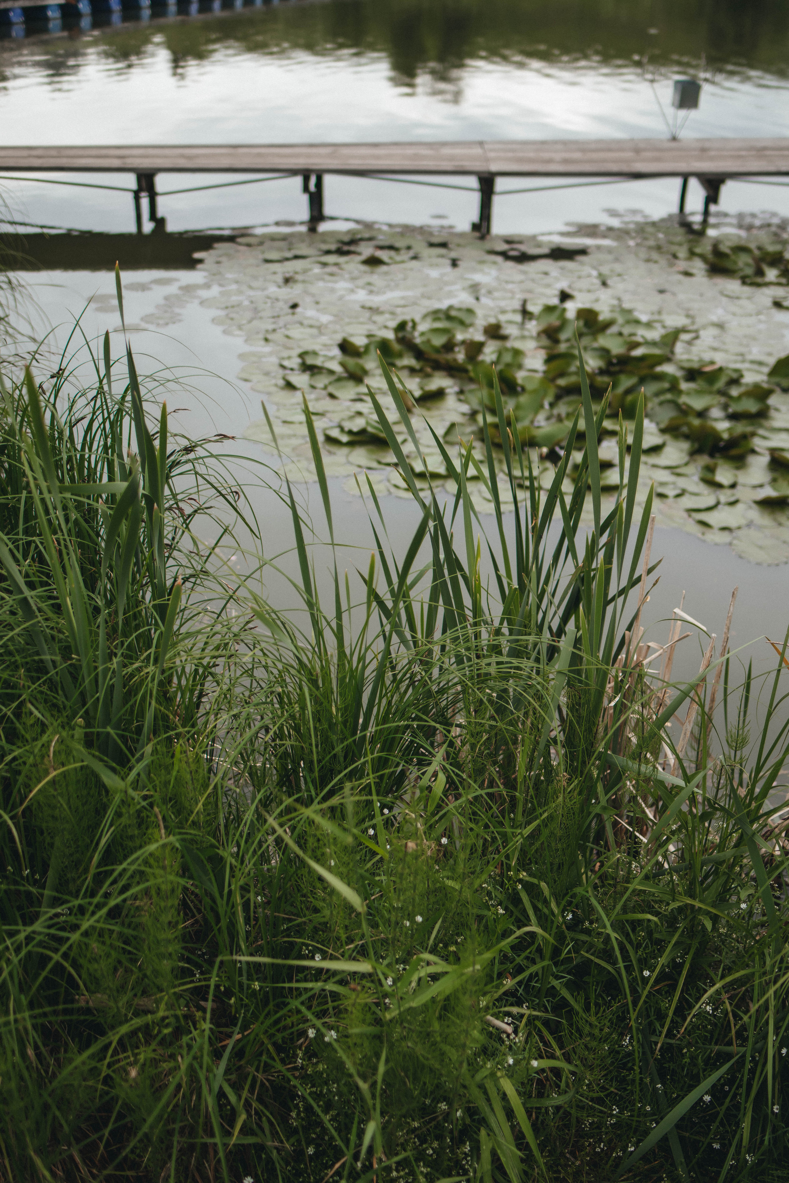 Алина и Филипп. Фотограф и Видеограф во Владимире