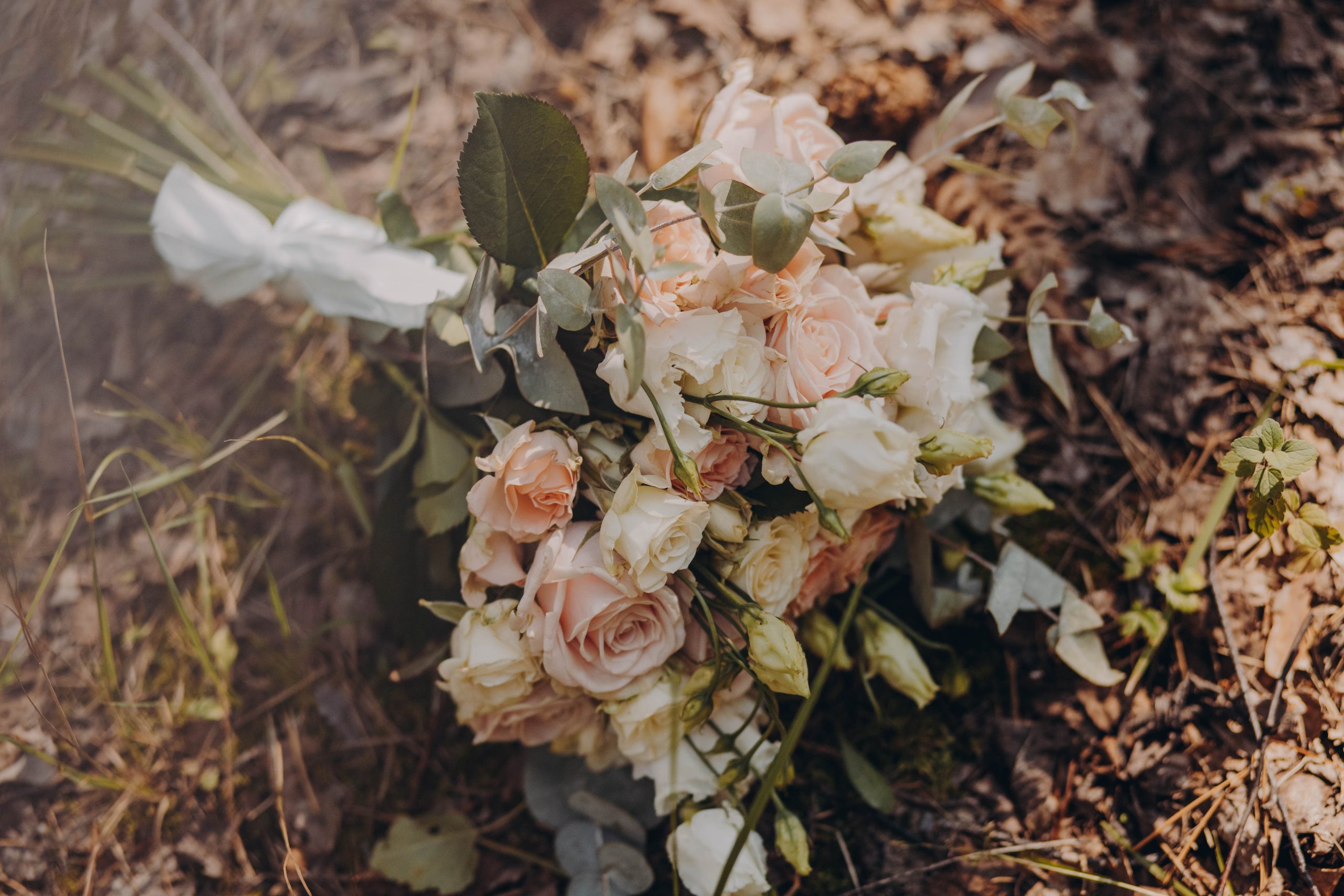 Алина и Равиль. Фотограф и Видеограф во Владимире