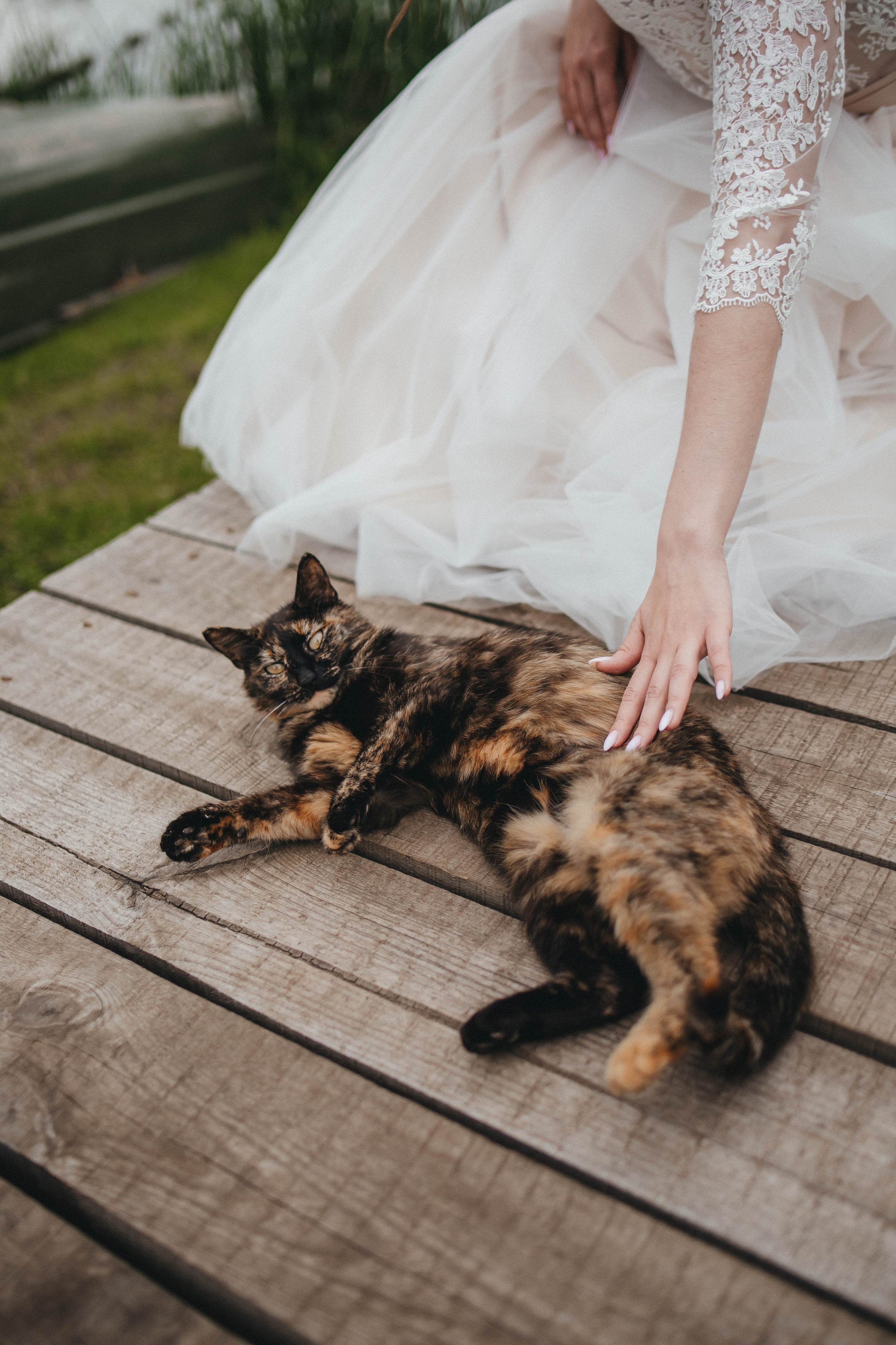 Алина и Филипп. Фотограф и Видеограф во Владимире