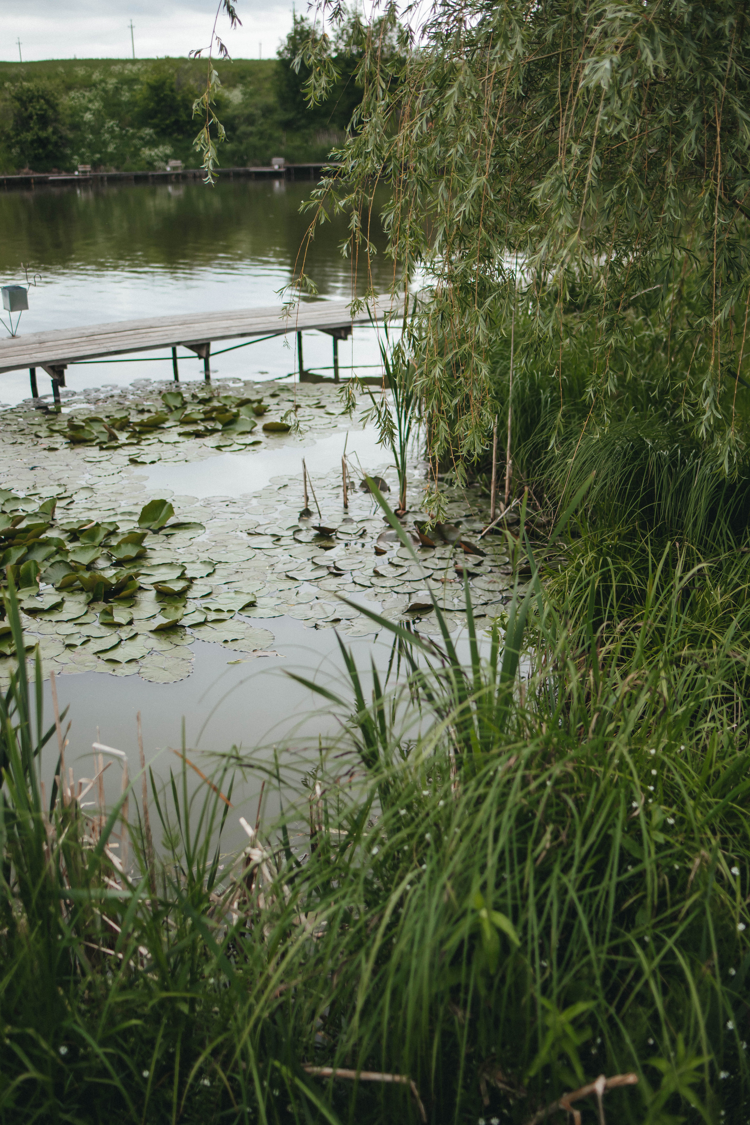 Алина и Филипп. Фотограф и Видеограф во Владимире
