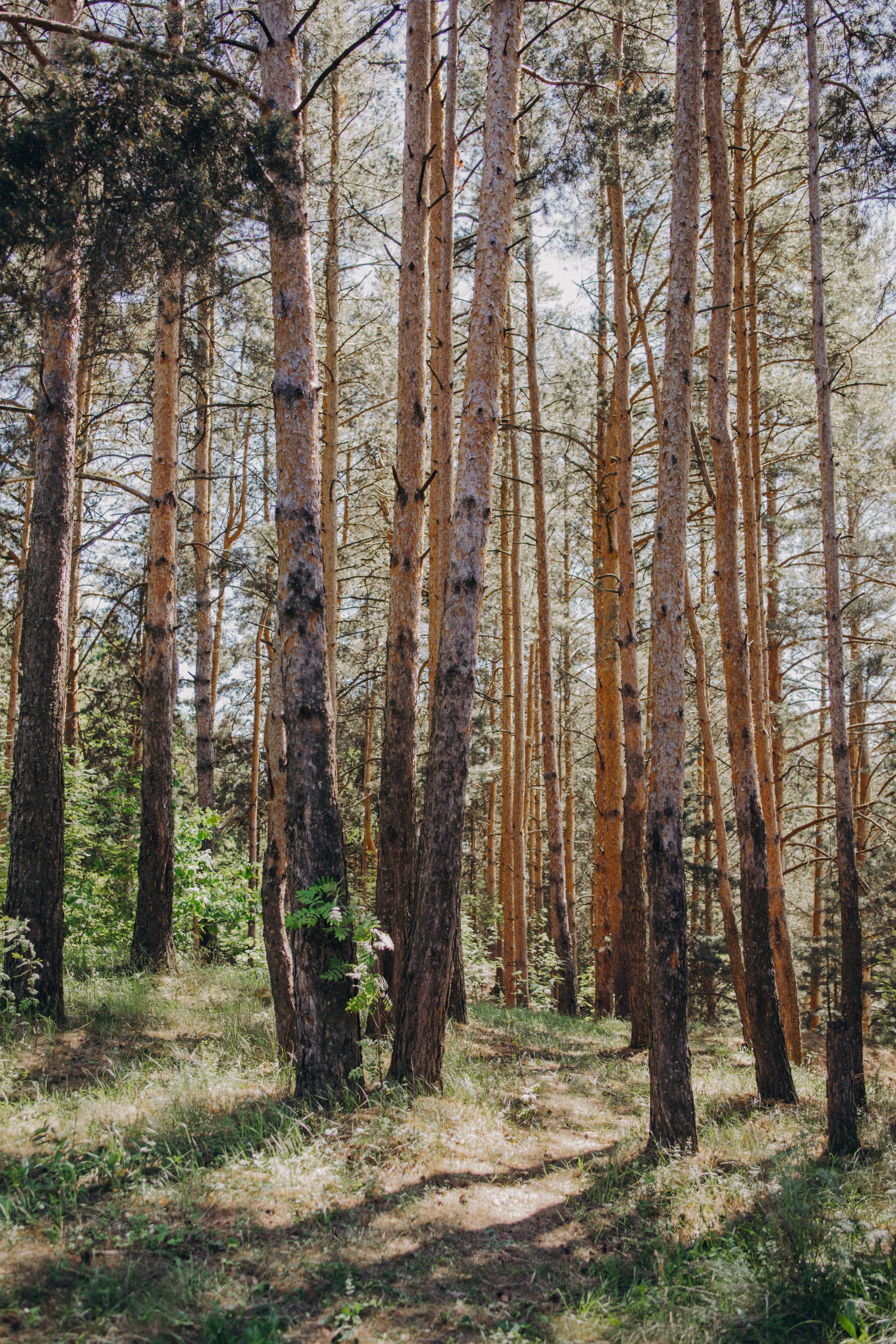 Марина и Никита. Фотограф и Видеограф во Владимире