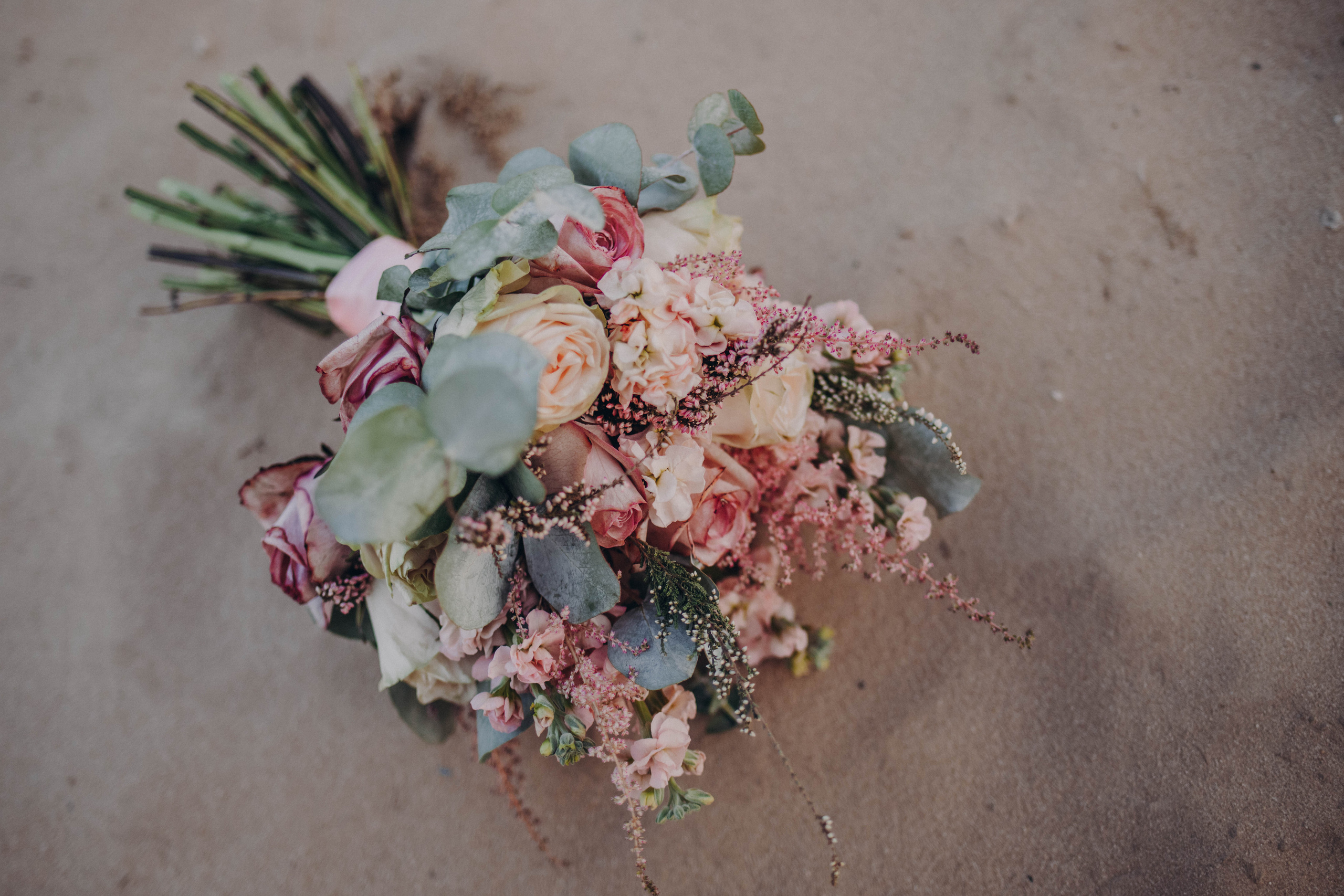 Татьяна и Дмитрий. Фотограф и Видеограф во Владимире
