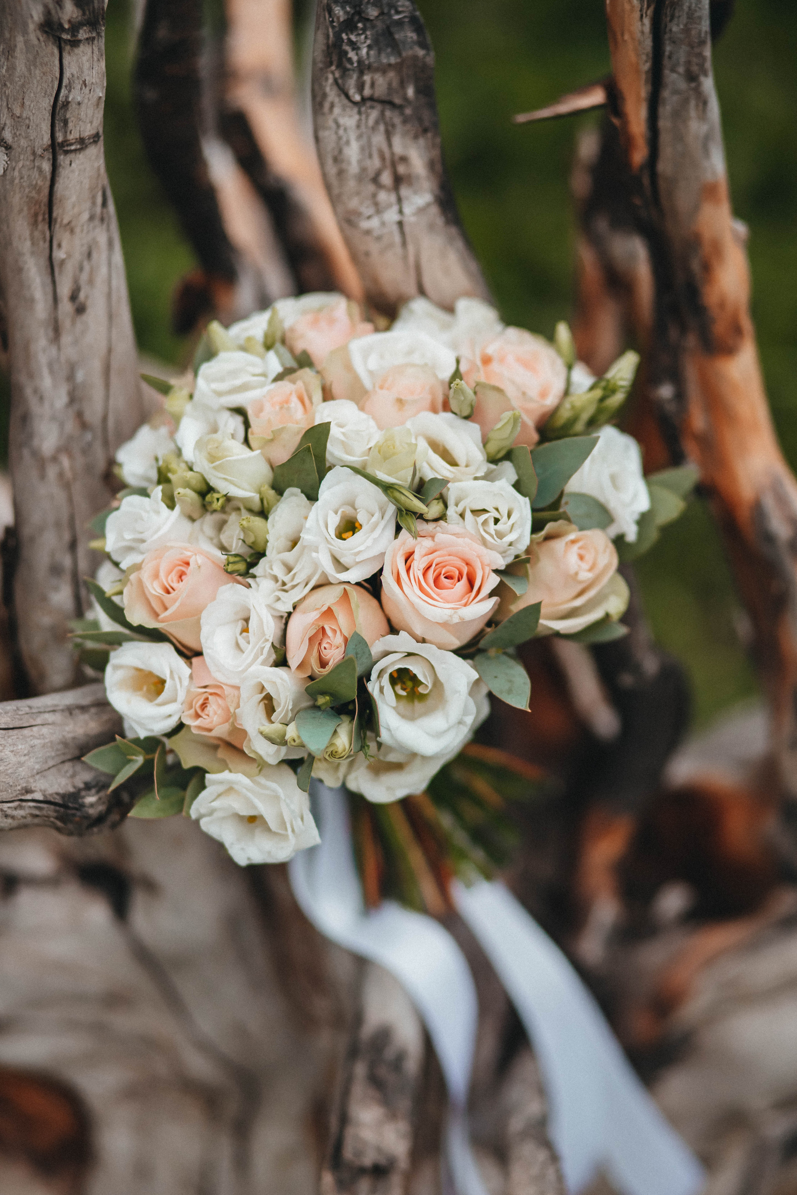 Екатерина и Максим. Фотограф и Видеограф во Владимире