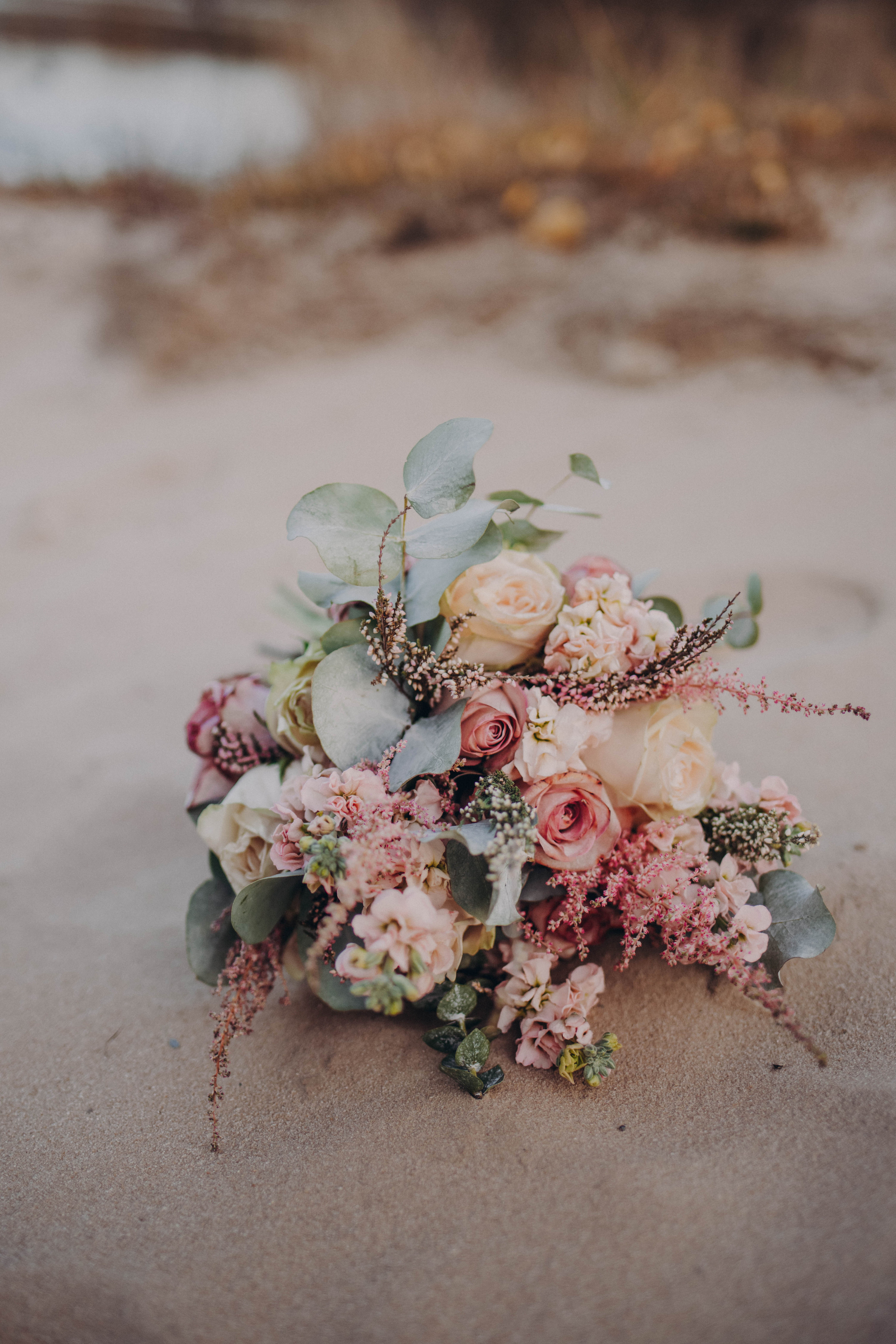 Татьяна и Дмитрий. Фотограф и Видеограф во Владимире