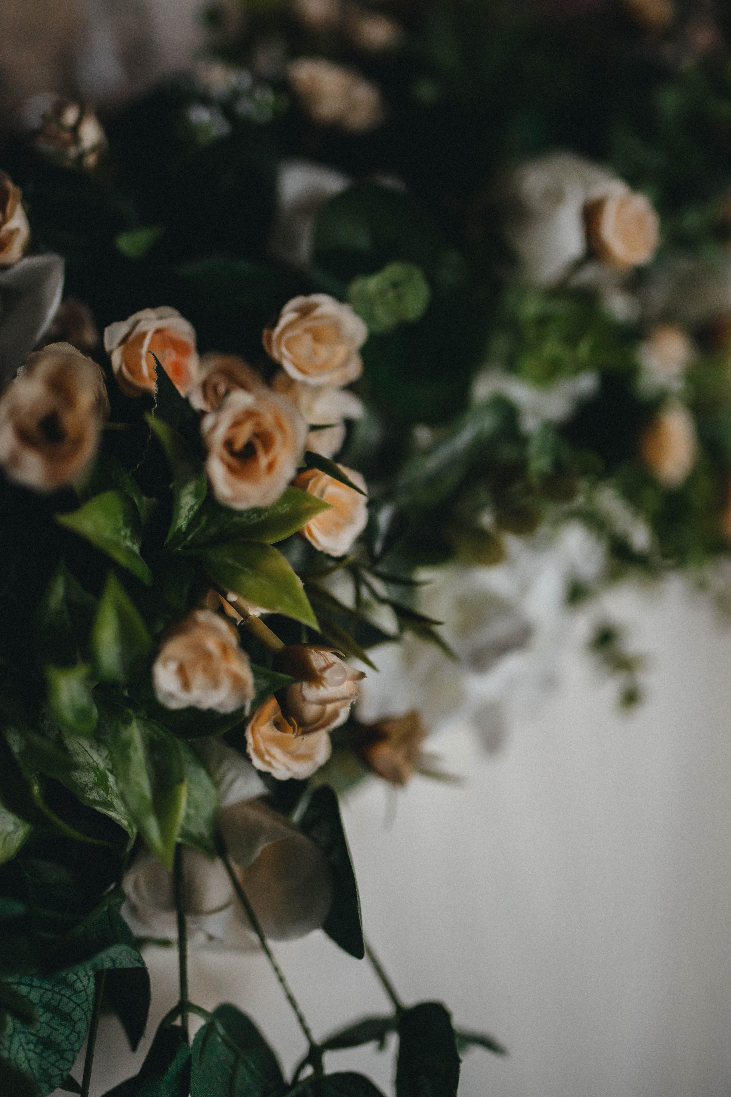 Алина и Филипп. Фотограф и Видеограф во Владимире