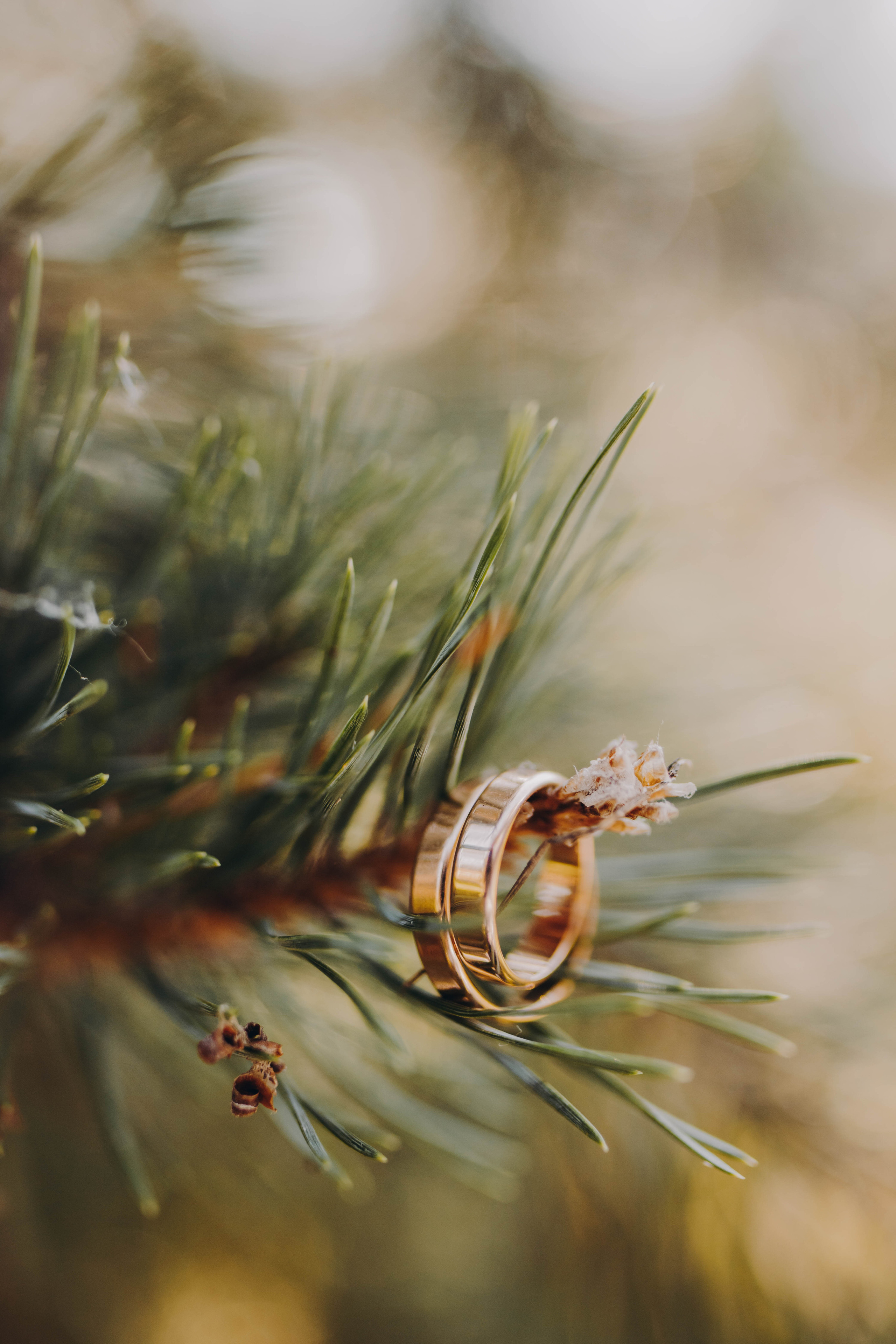 Алина и Равиль. Фотограф и Видеограф во Владимире